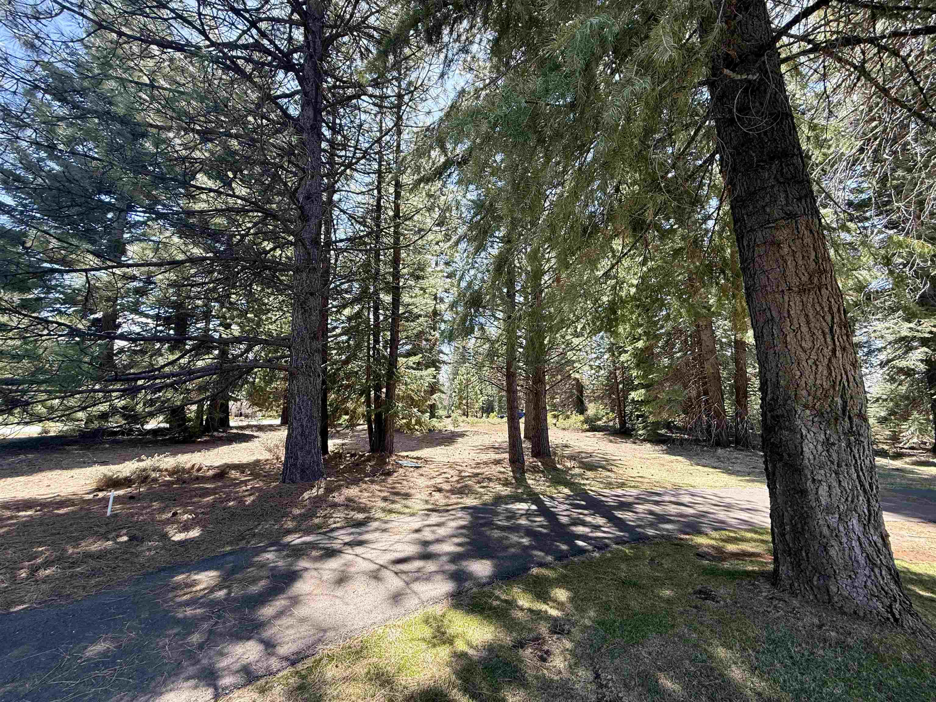 279 Gateway Drive, Lake Almanor, Texas image 5