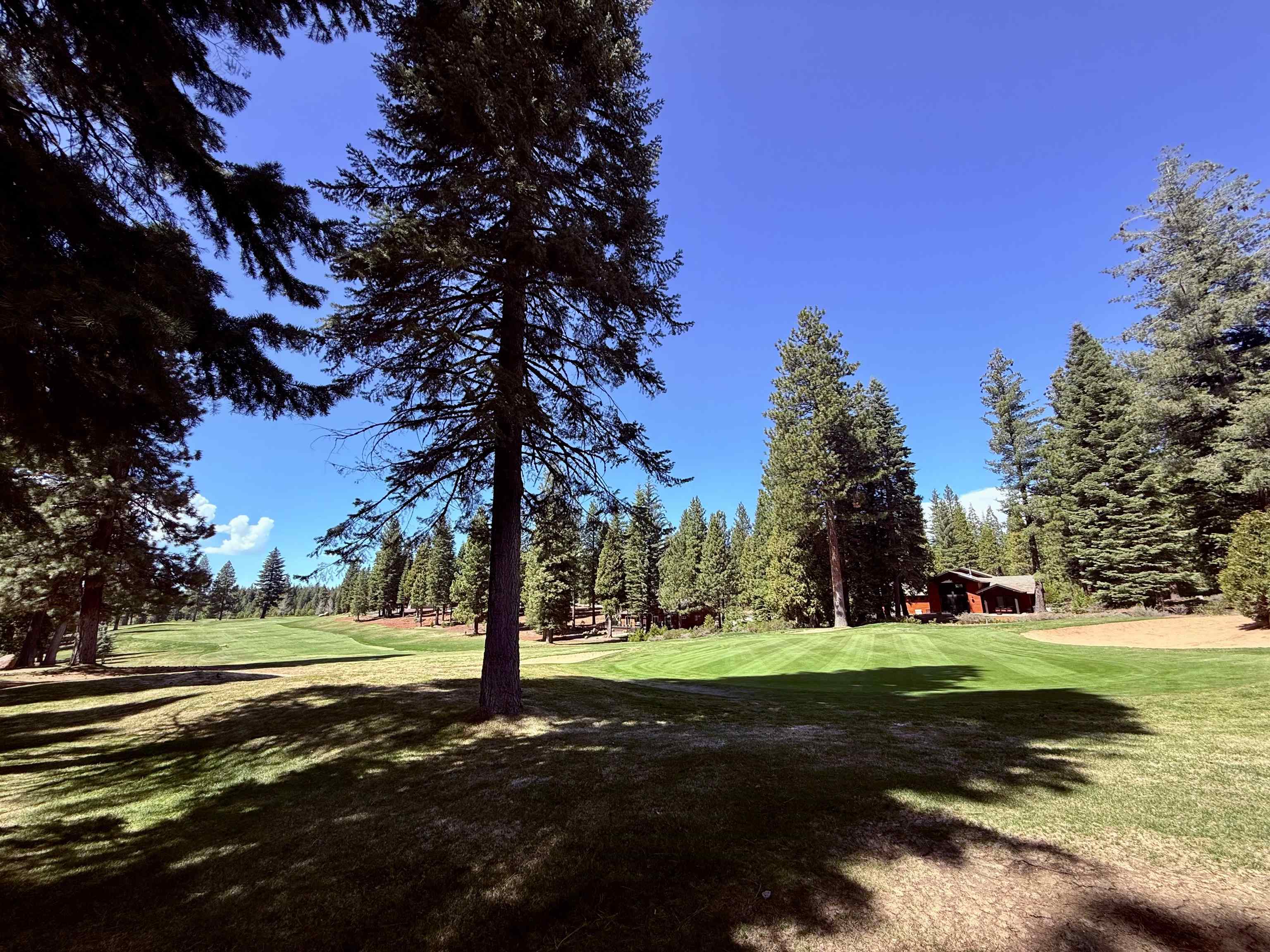 279 Gateway Drive, Lake Almanor, Texas image 3