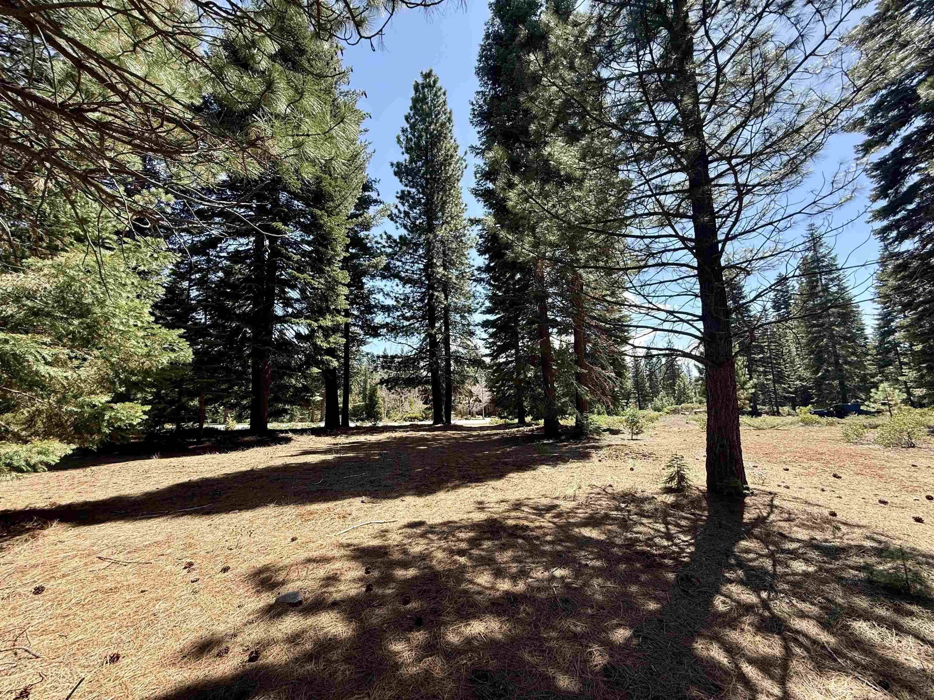 279 Gateway Drive, Lake Almanor, Texas image 7