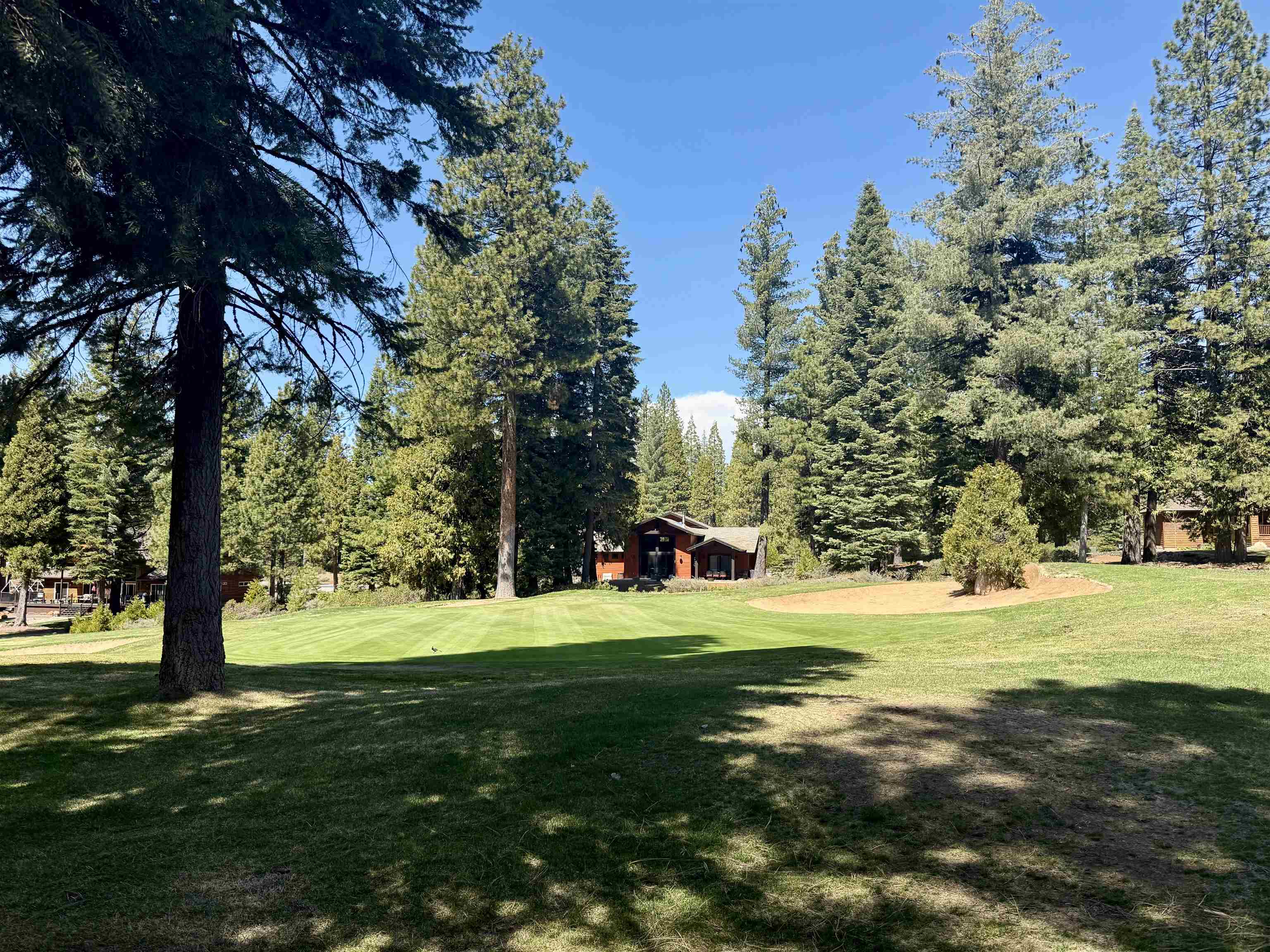 279 Gateway Drive, Lake Almanor, Texas image 8