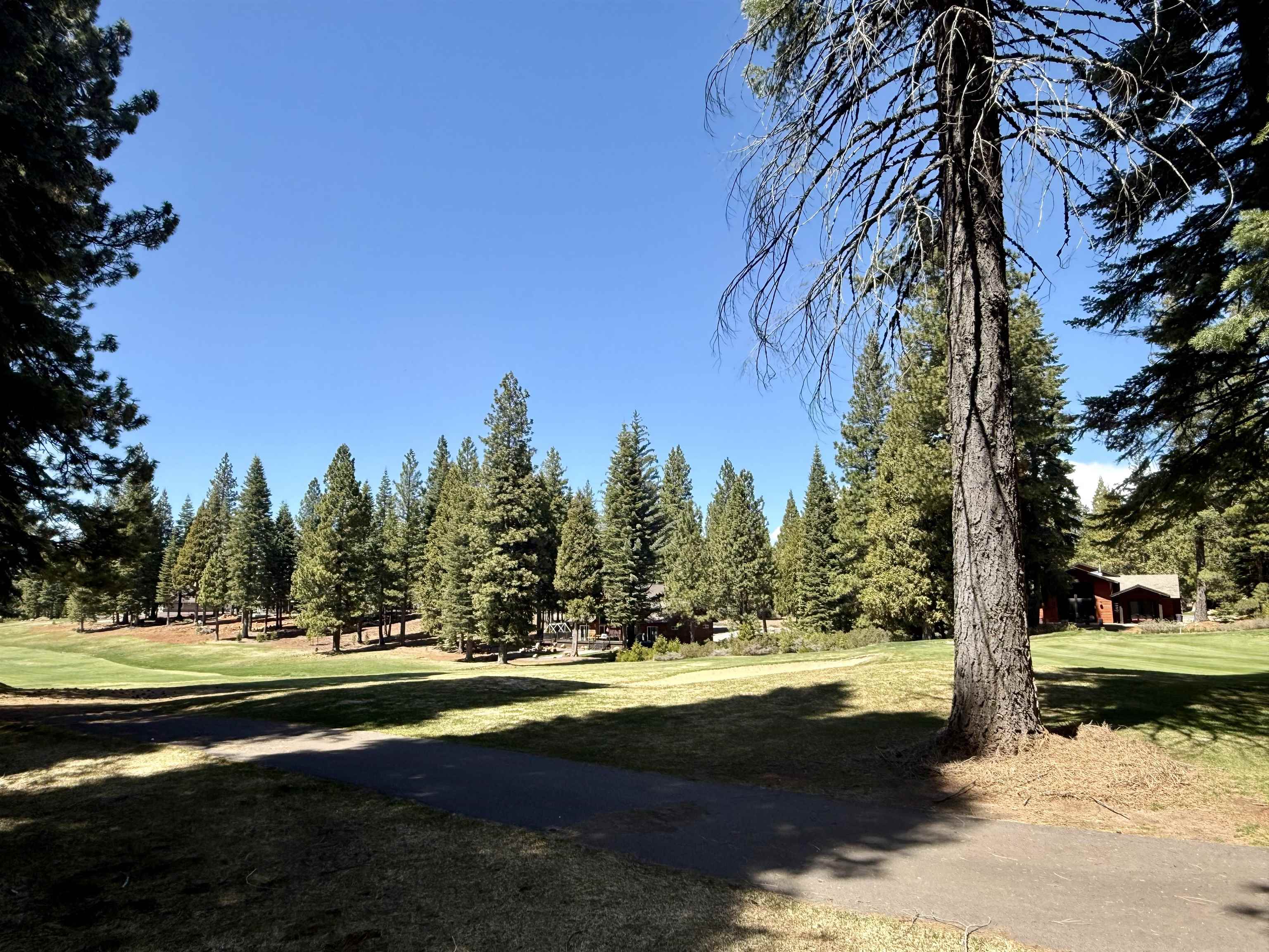 279 Gateway Drive, Lake Almanor, Texas image 6