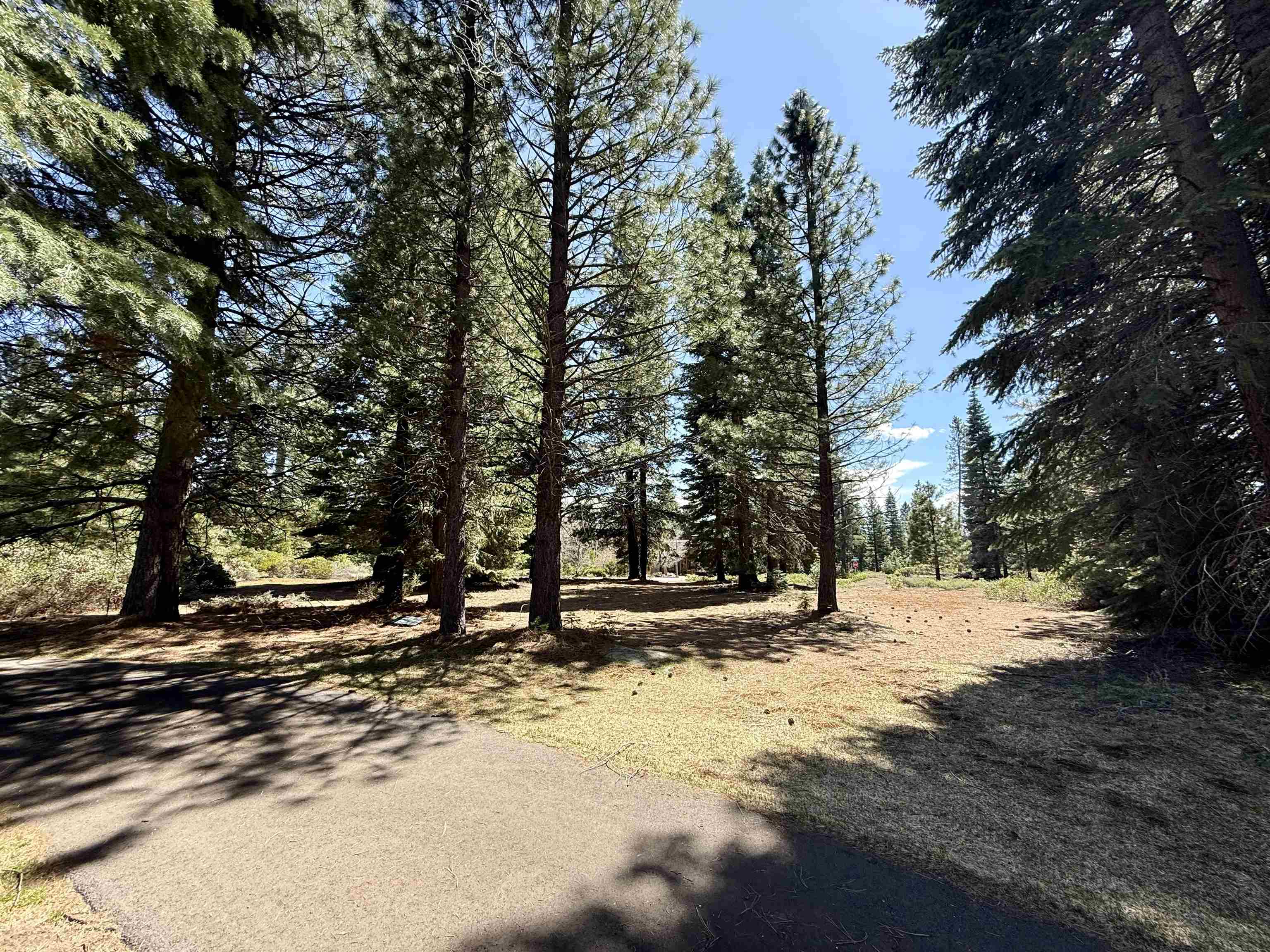 279 Gateway Drive, Lake Almanor, Texas image 4