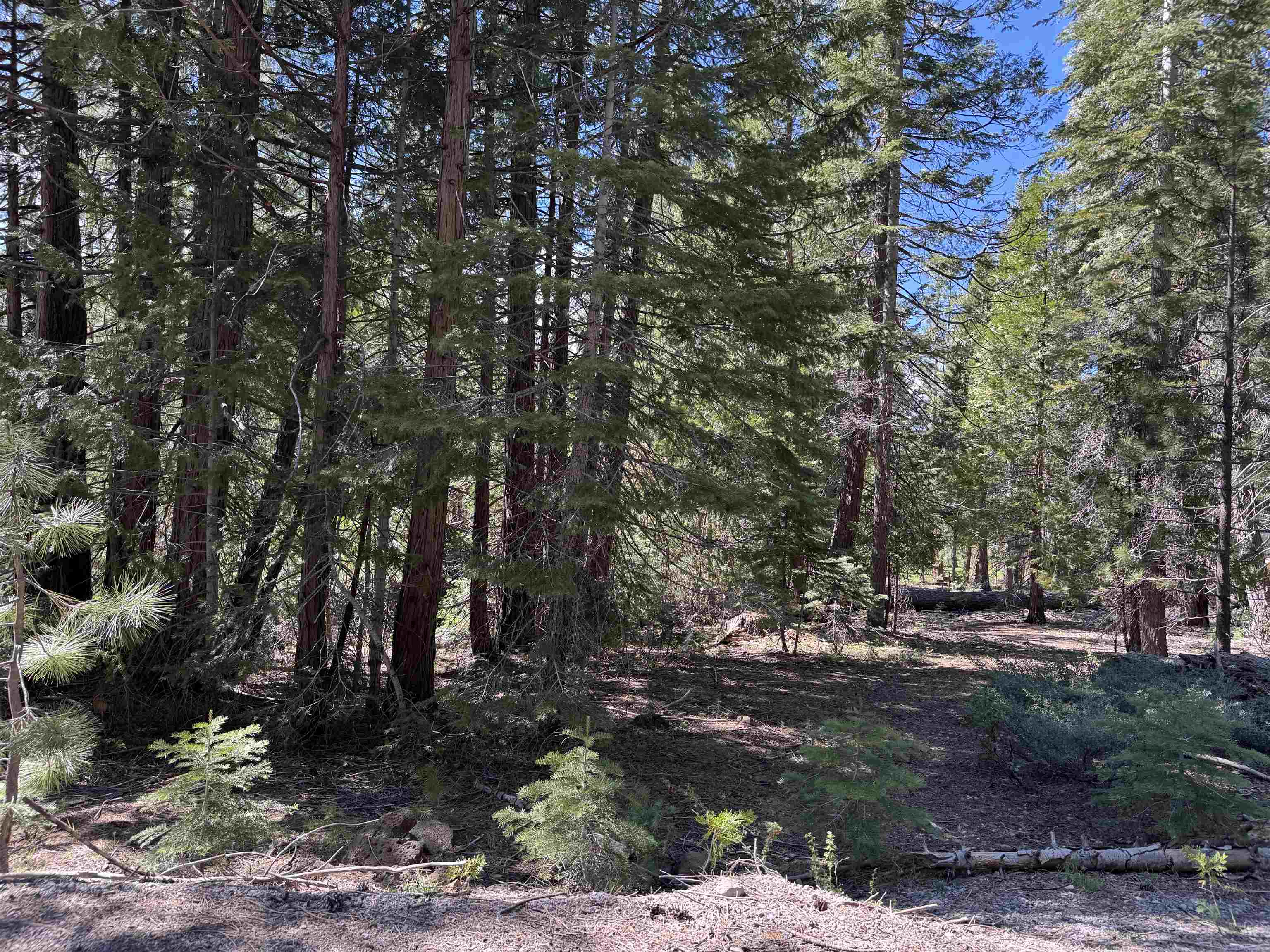 Prattville, California 95923, United States, ,Land,Active,128030 Prattville, California 95923, United States, ,Land,Active,128030