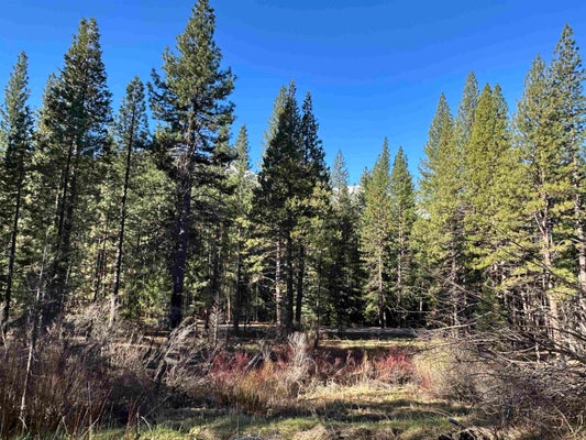 6049 GENESEE RD, TAYLORSVILLE, CA 95983 - Image 333ea86c424333112e8bf0f9fa6bf137/543094635