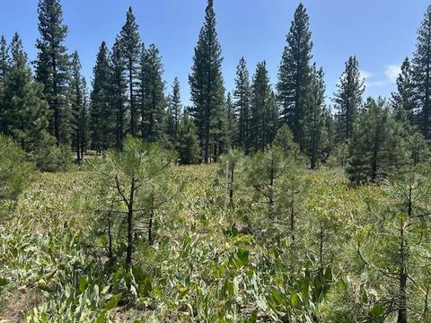 Vacant Land For Sale - 157 Arrowleaf Road<br/> Portola, CA 96122