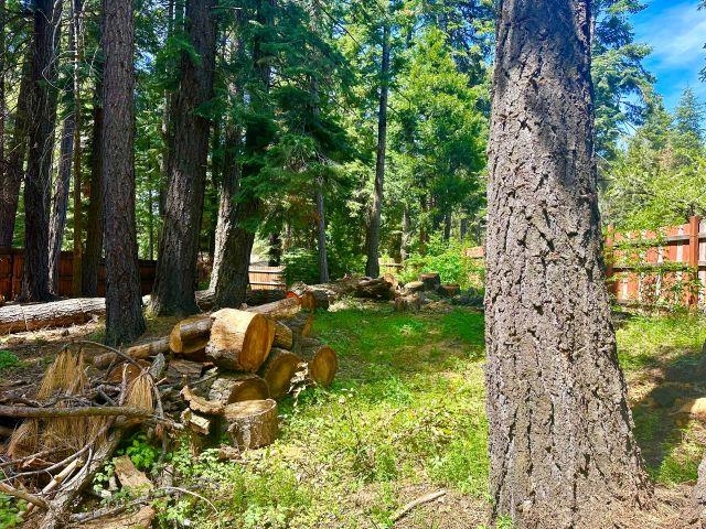 3200 Woodlake Drive, Lake Almanor, New Mexico image 4