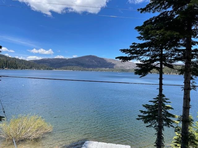 630 Mile High Road, Bucks Lake, New Mexico image 3