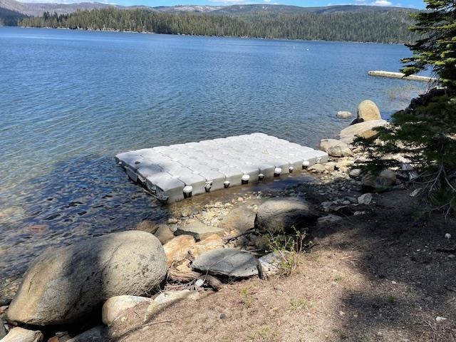 630 Mile High Road, Bucks Lake, New Mexico image 7