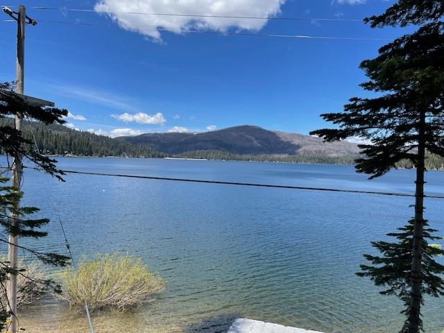 630 Mile High Road, Bucks Lake, New Mexico image 15