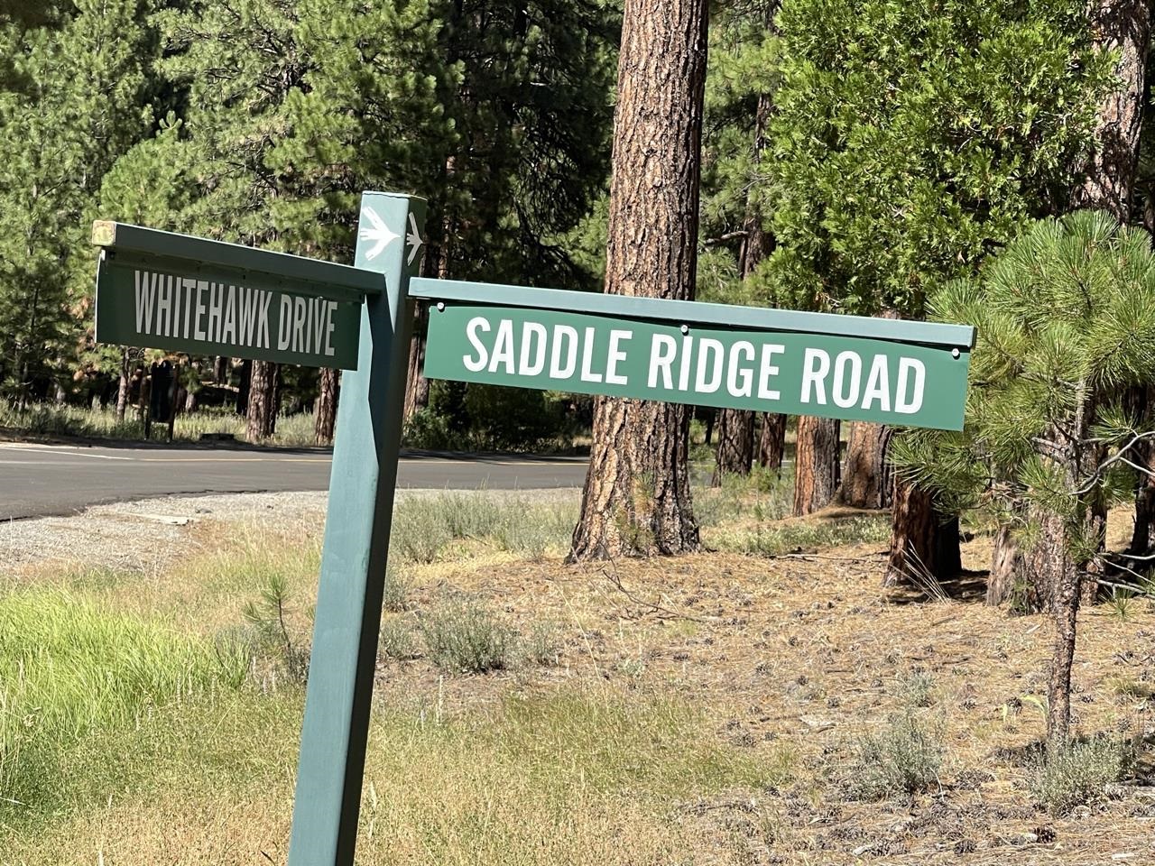 180 Saddle Ridge Road, Clio, California image 28