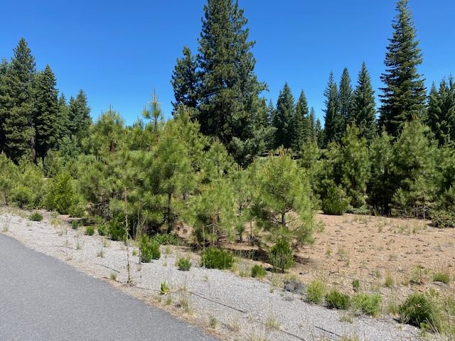 Lake Almanor, California 95765, United States, ,Land,Active,75250