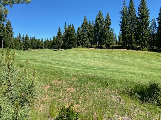 Lake Almanor, California 95765, United States, ,Land,Active,75250