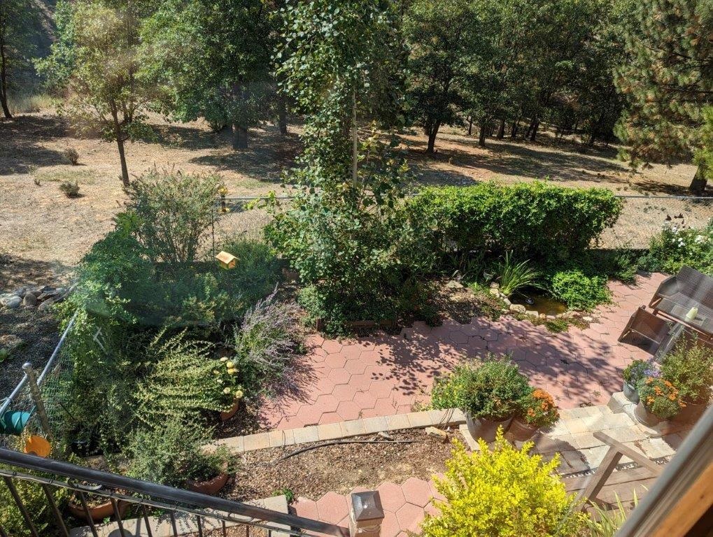 566 Main Ranch Road, Quincy, Texas image 8