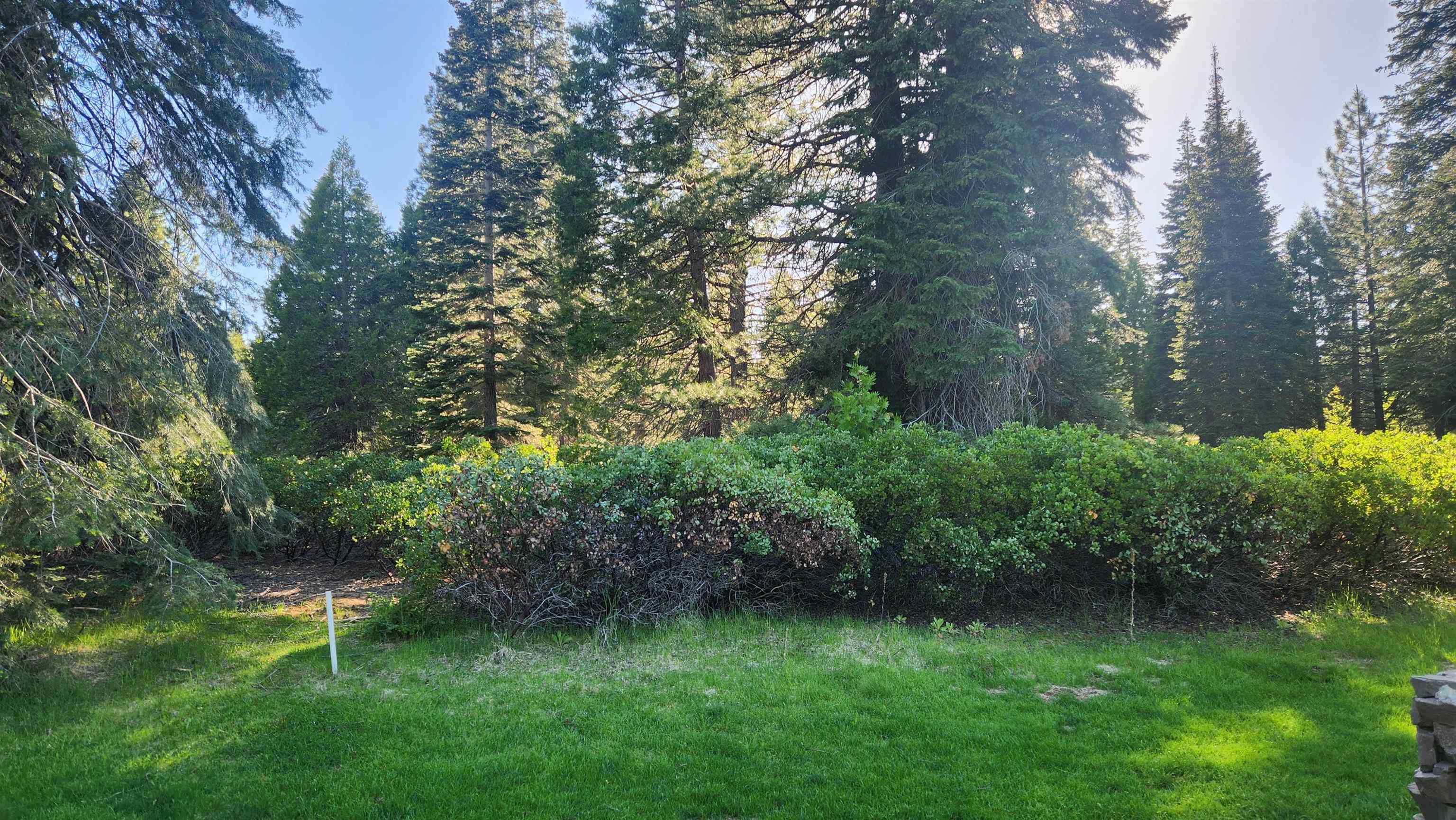 417 Dinsmore Drive, Lake Almanor, Texas image 9