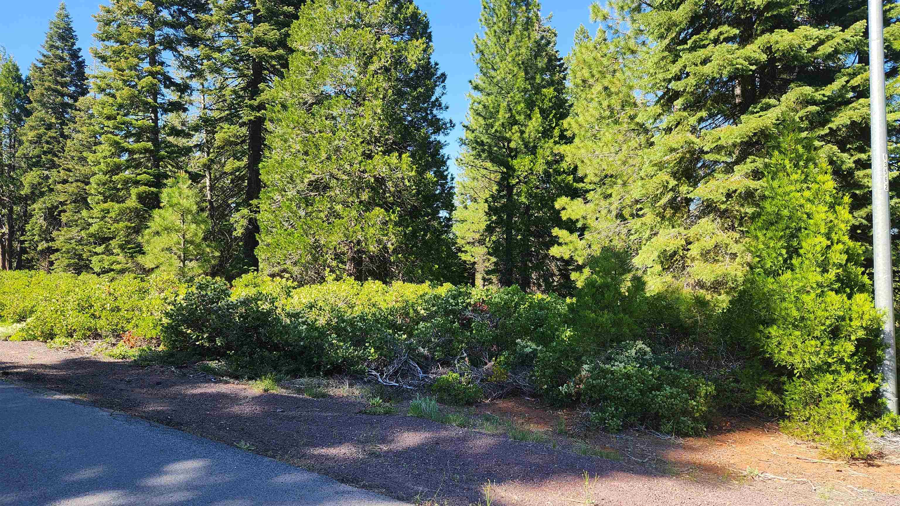 417 Dinsmore Drive, Lake Almanor, Texas image 14