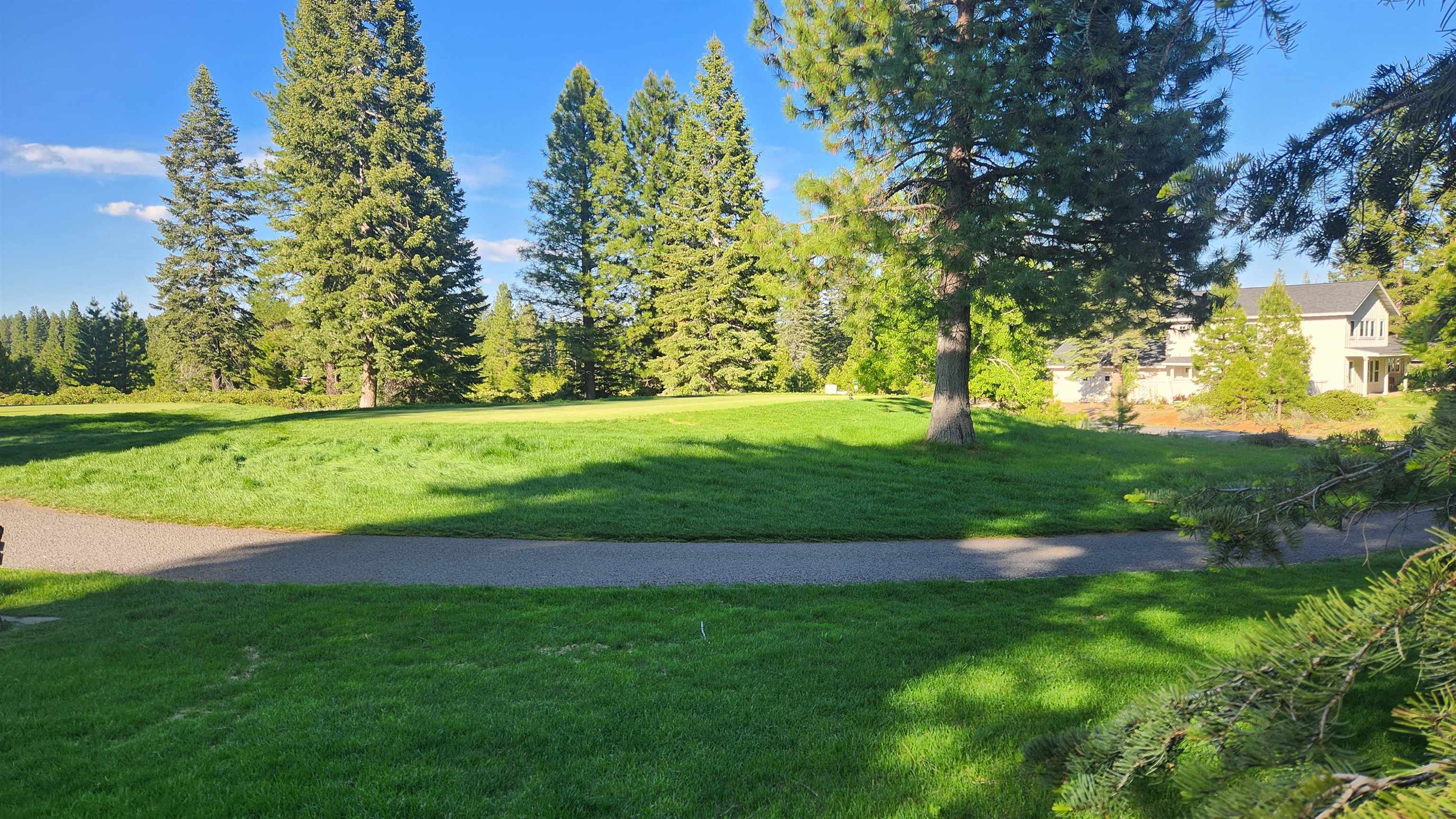 417 Dinsmore Drive, Lake Almanor, Texas image 17