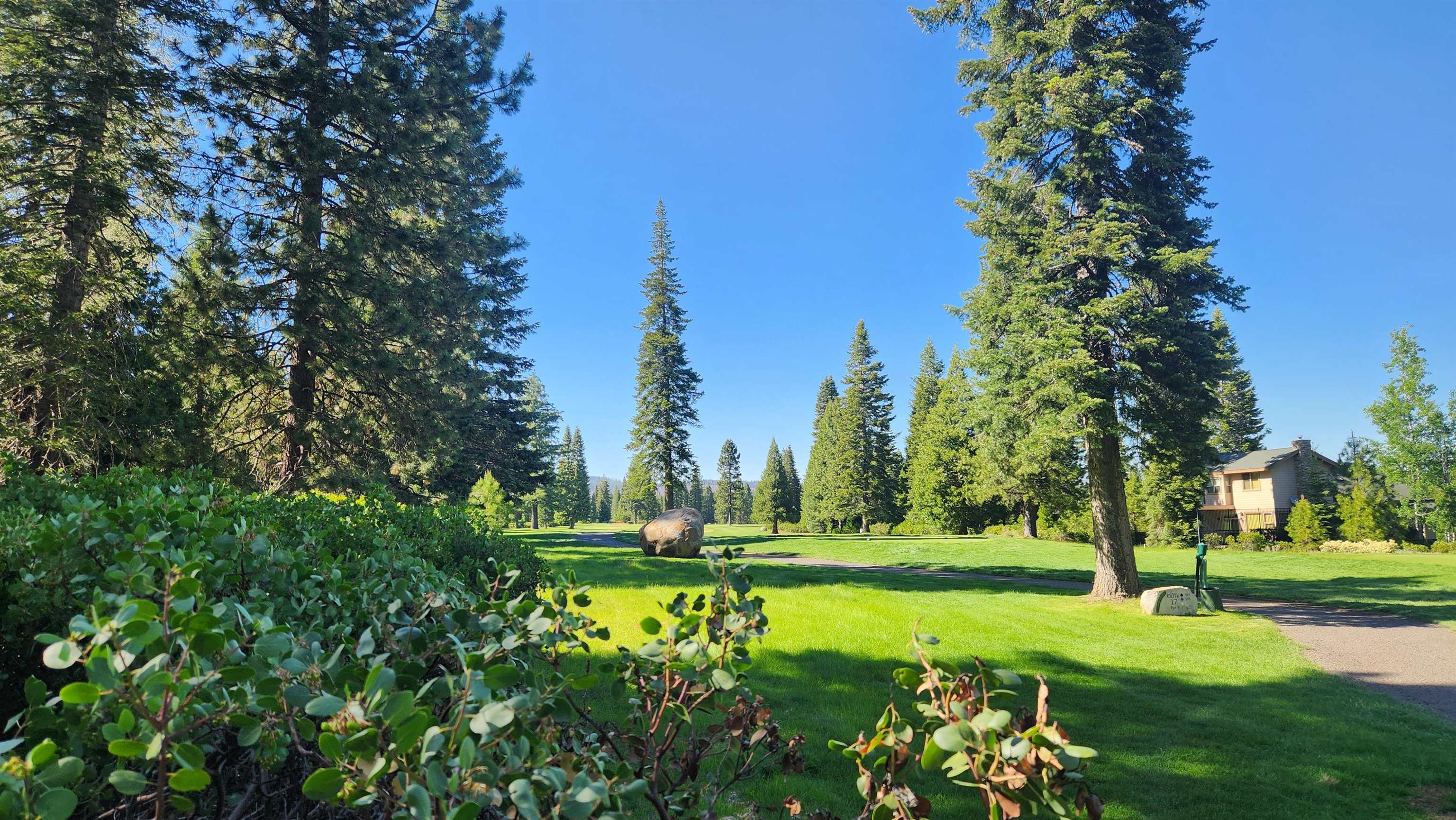 417 Dinsmore Drive, Lake Almanor, Texas image 10