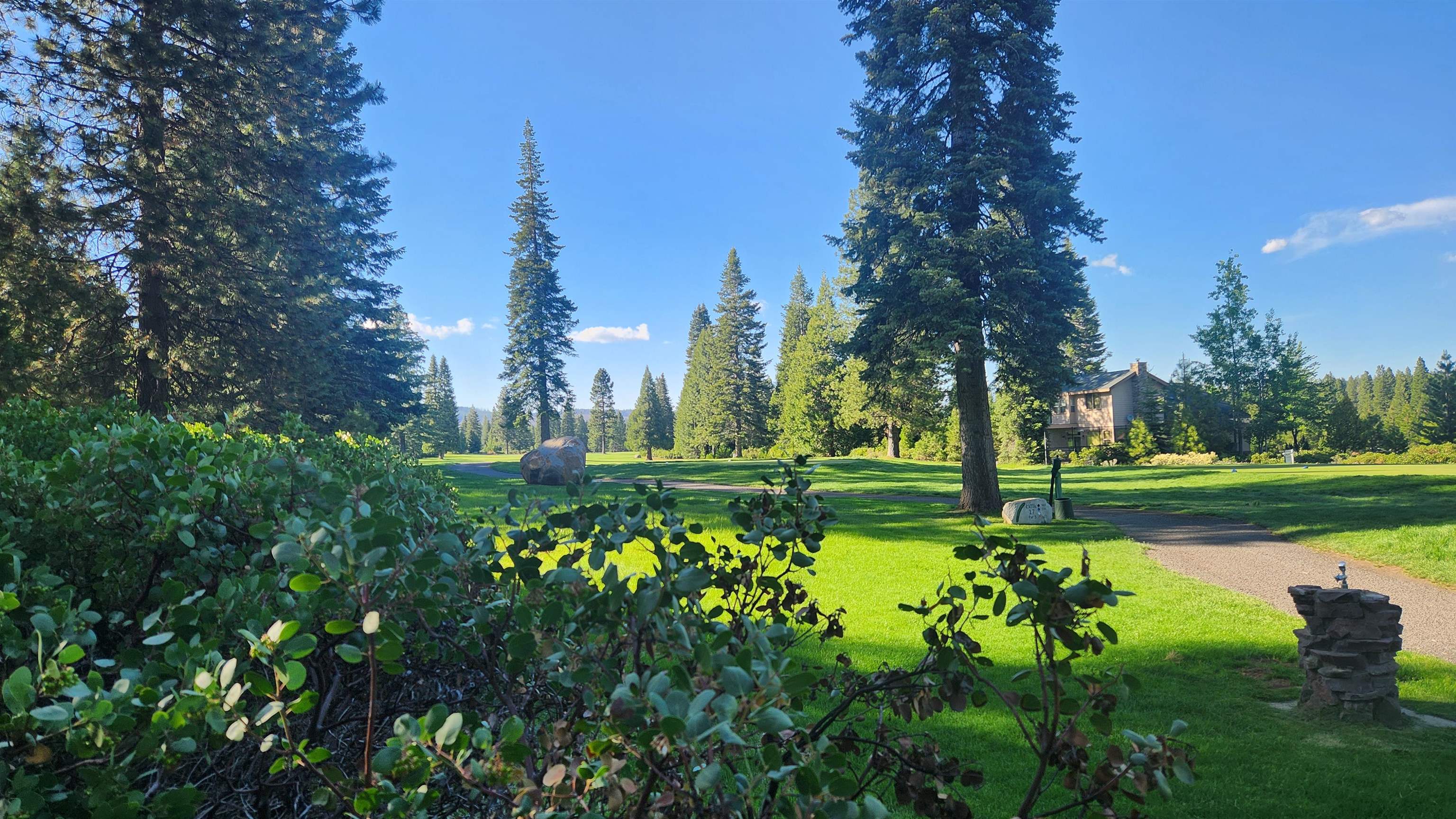 417 Dinsmore Drive, Lake Almanor, Texas image 3