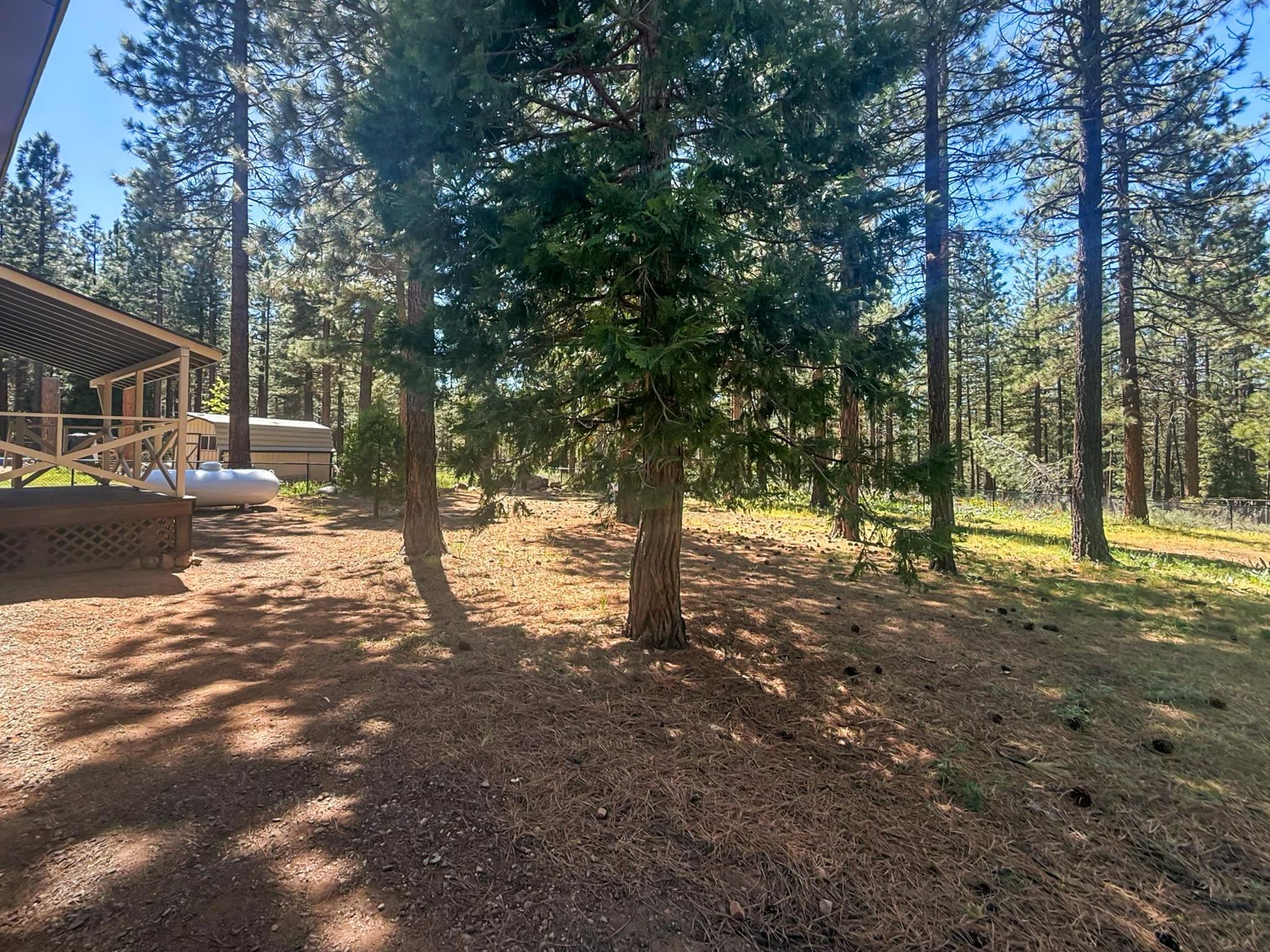 708 Yeargin Drive, Portola, New Mexico image 32