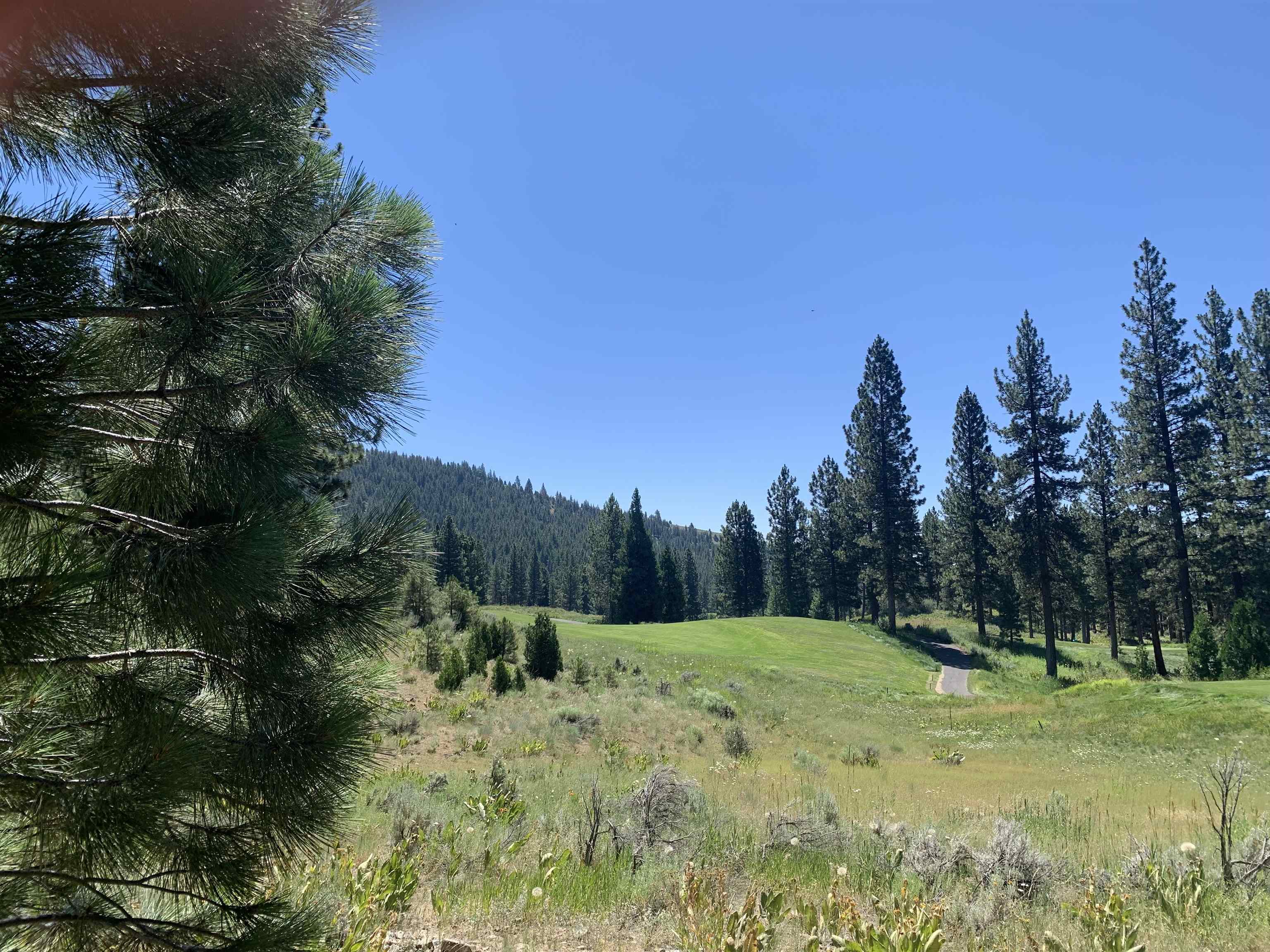 300 Grizzly Ranch Road, Portola, New York image 3
