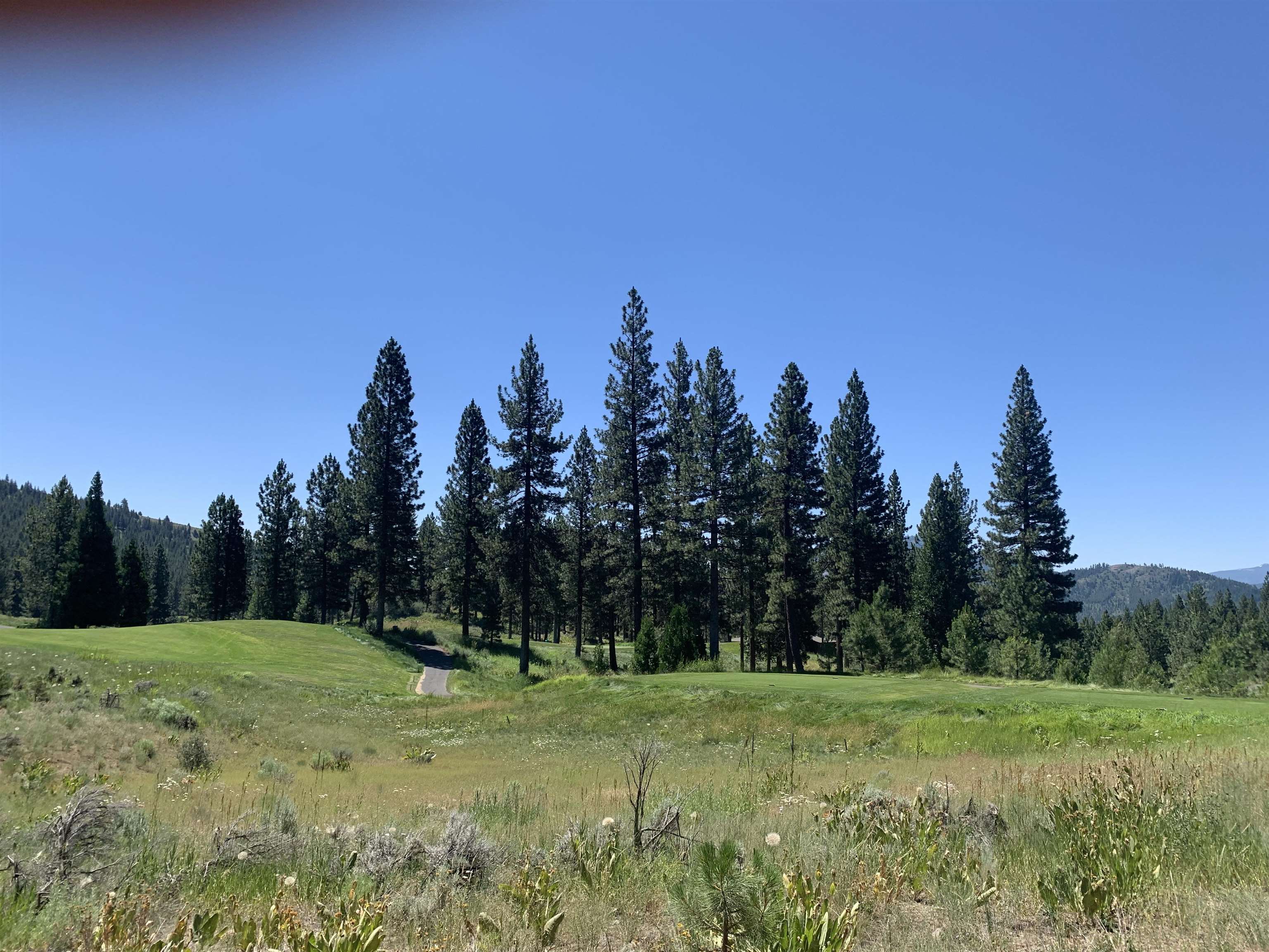 300 Grizzly Ranch Road, Portola, New York image 2