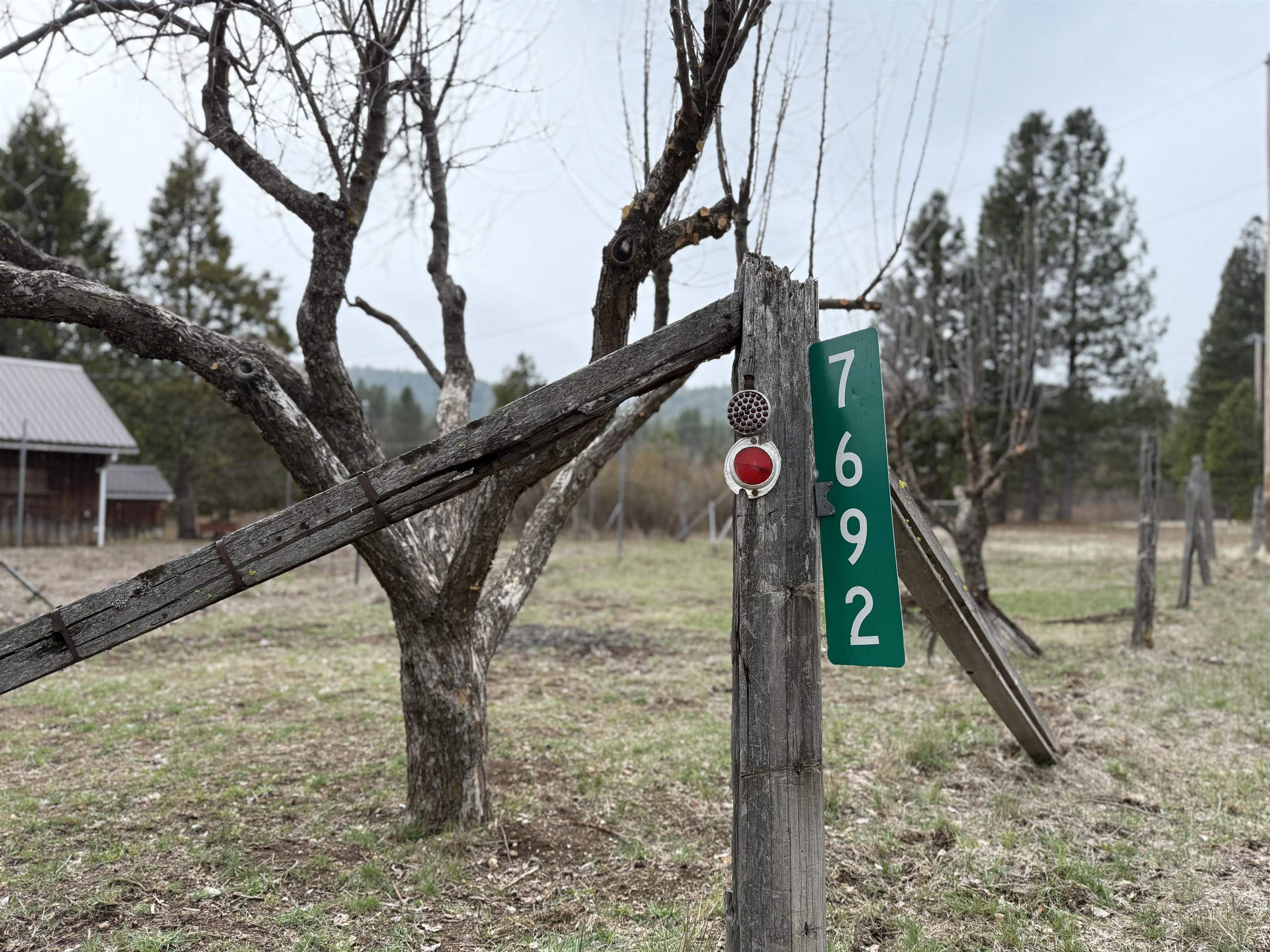 7692 Bucks Lake Road, Meadow Valley, California image 6