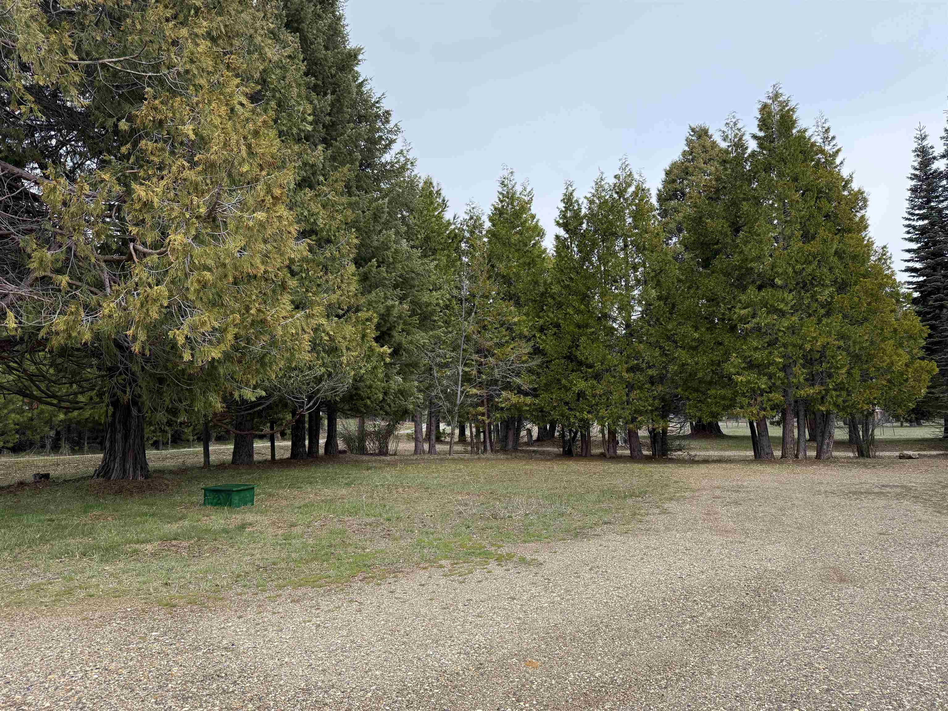 7692 Bucks Lake Road, Meadow Valley, California image 25