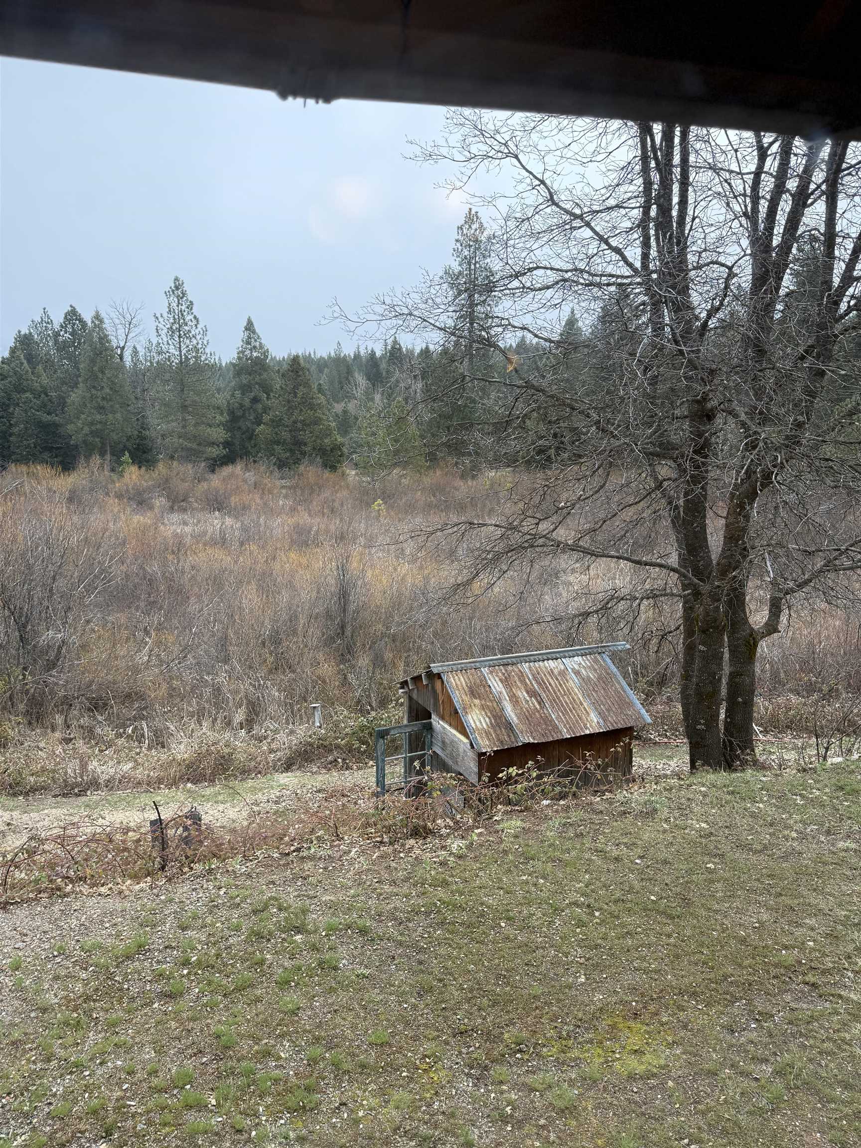 7692 Bucks Lake Road, Meadow Valley, California image 39