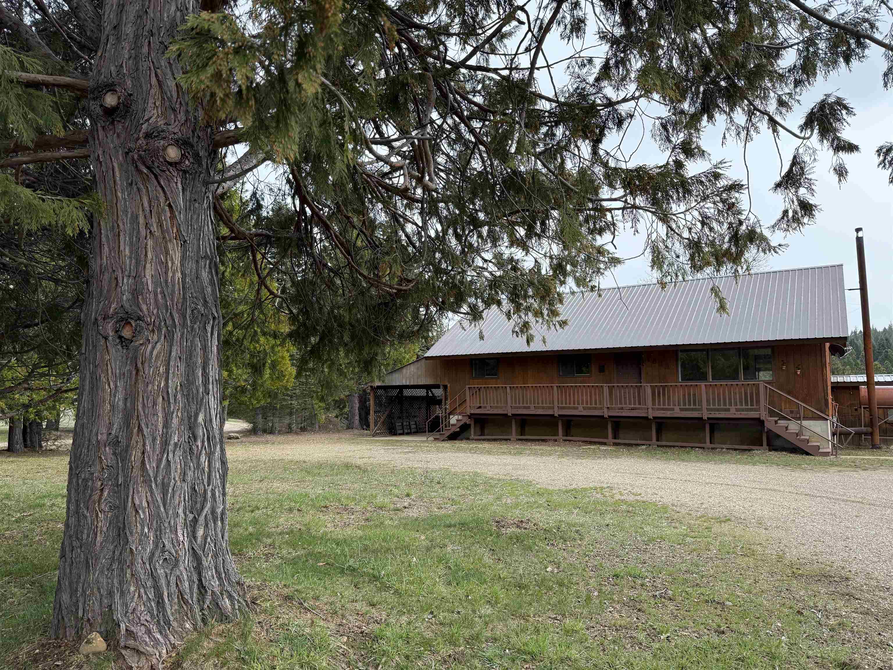7692 Bucks Lake Road, Meadow Valley, California image 1