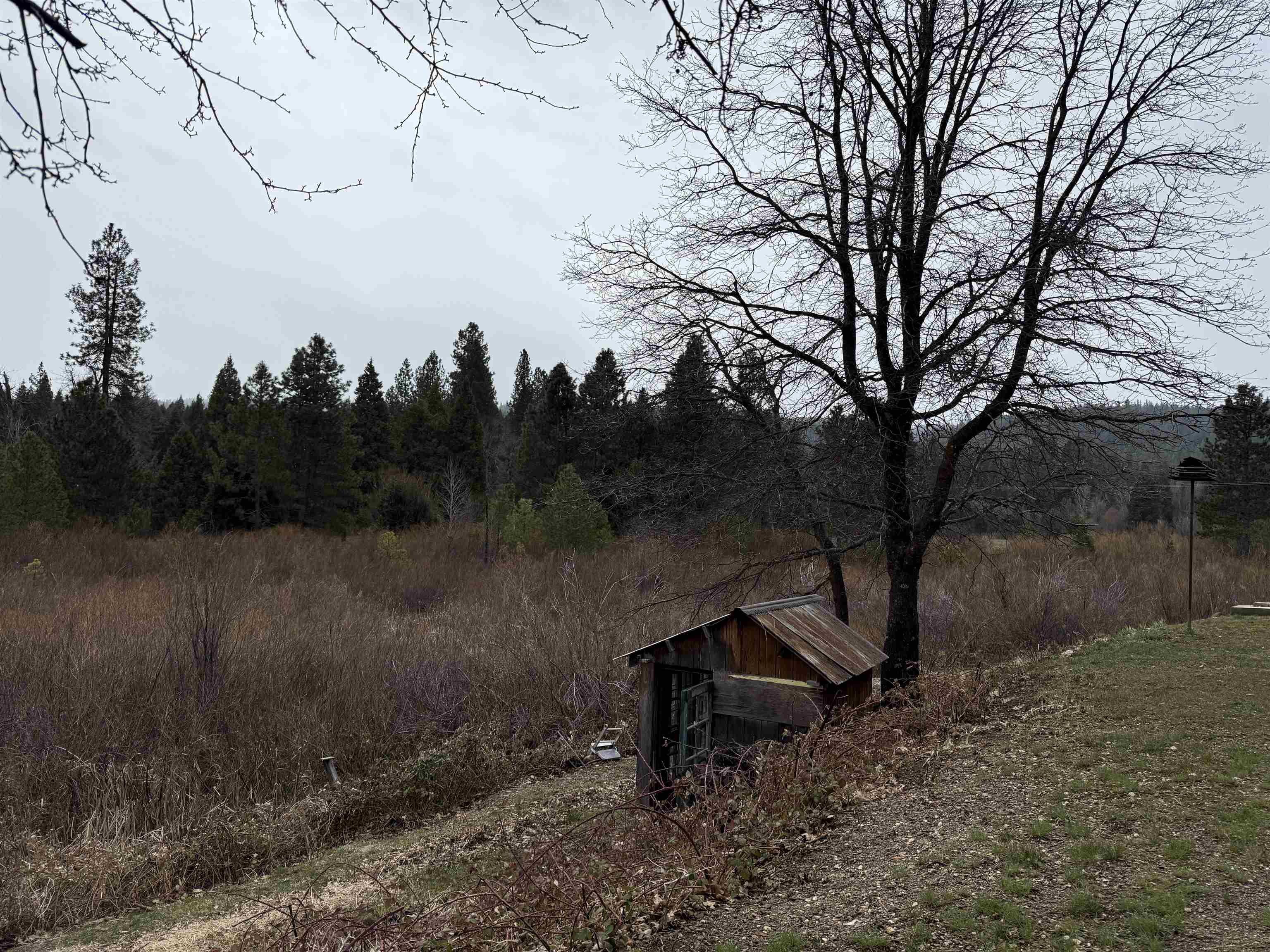 7692 Bucks Lake Road, Meadow Valley, California image 33