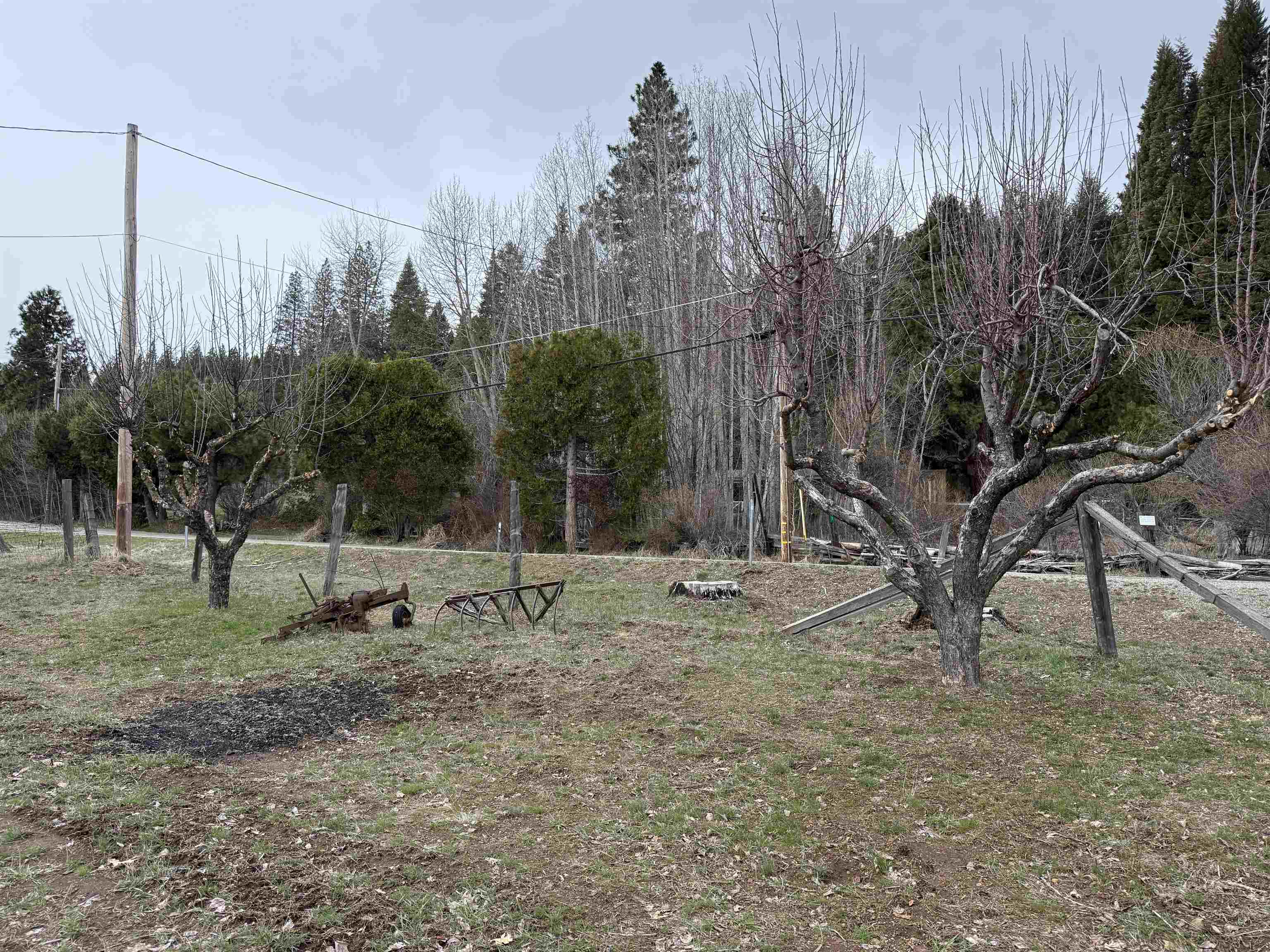 7692 Bucks Lake Road, Meadow Valley, California image 26