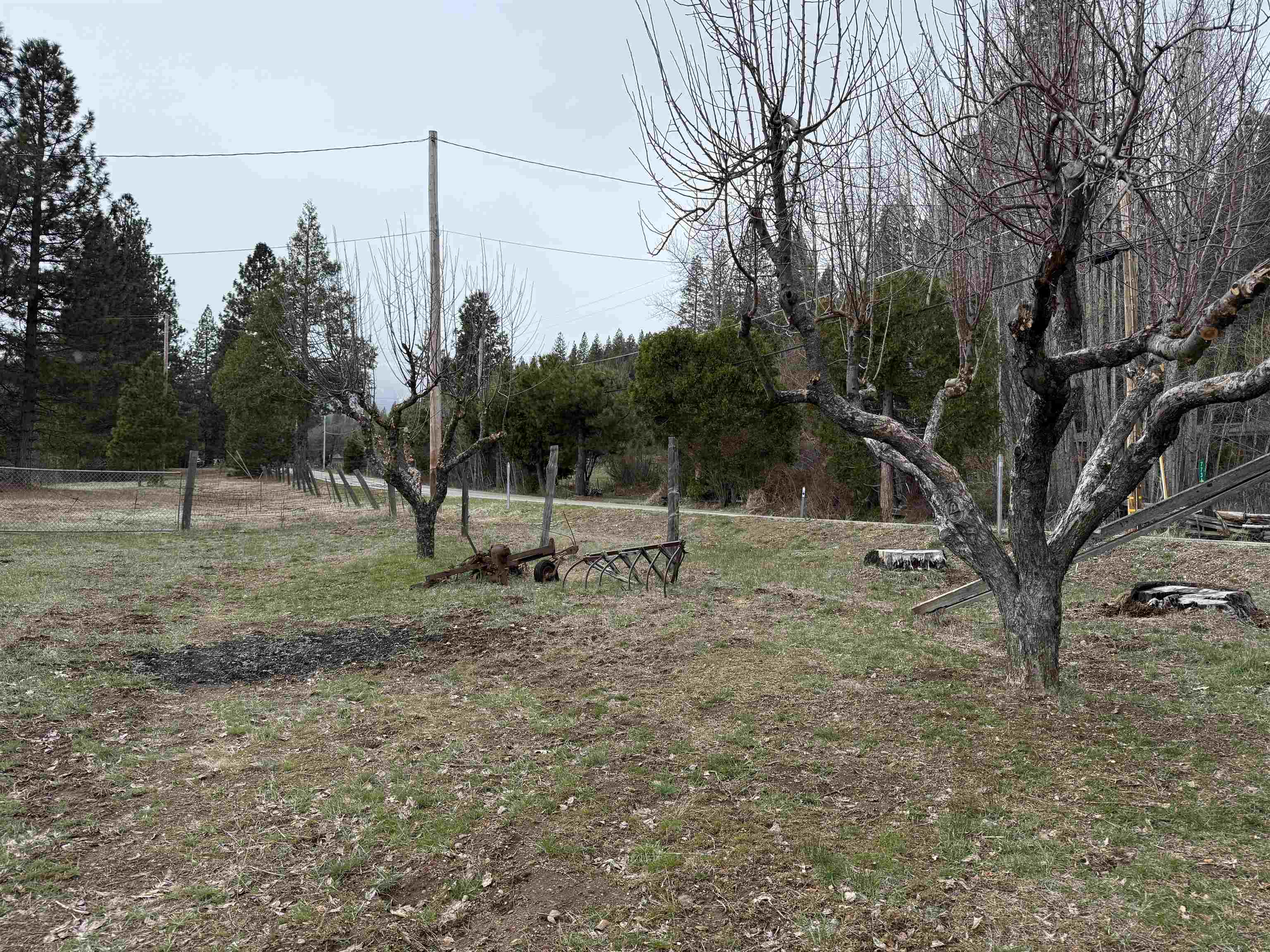 7692 Bucks Lake Road, Meadow Valley, California image 32