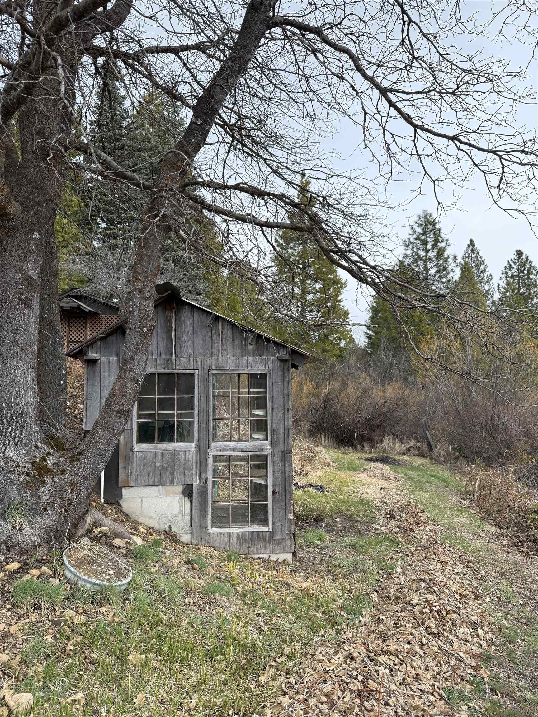 7692 Bucks Lake Road, Meadow Valley, California image 5