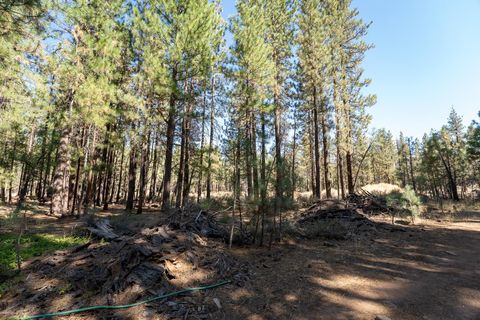 Vacant Land For Sale - 247 Bear Way Way<br/> Plumas County, Portola, CA 96122
