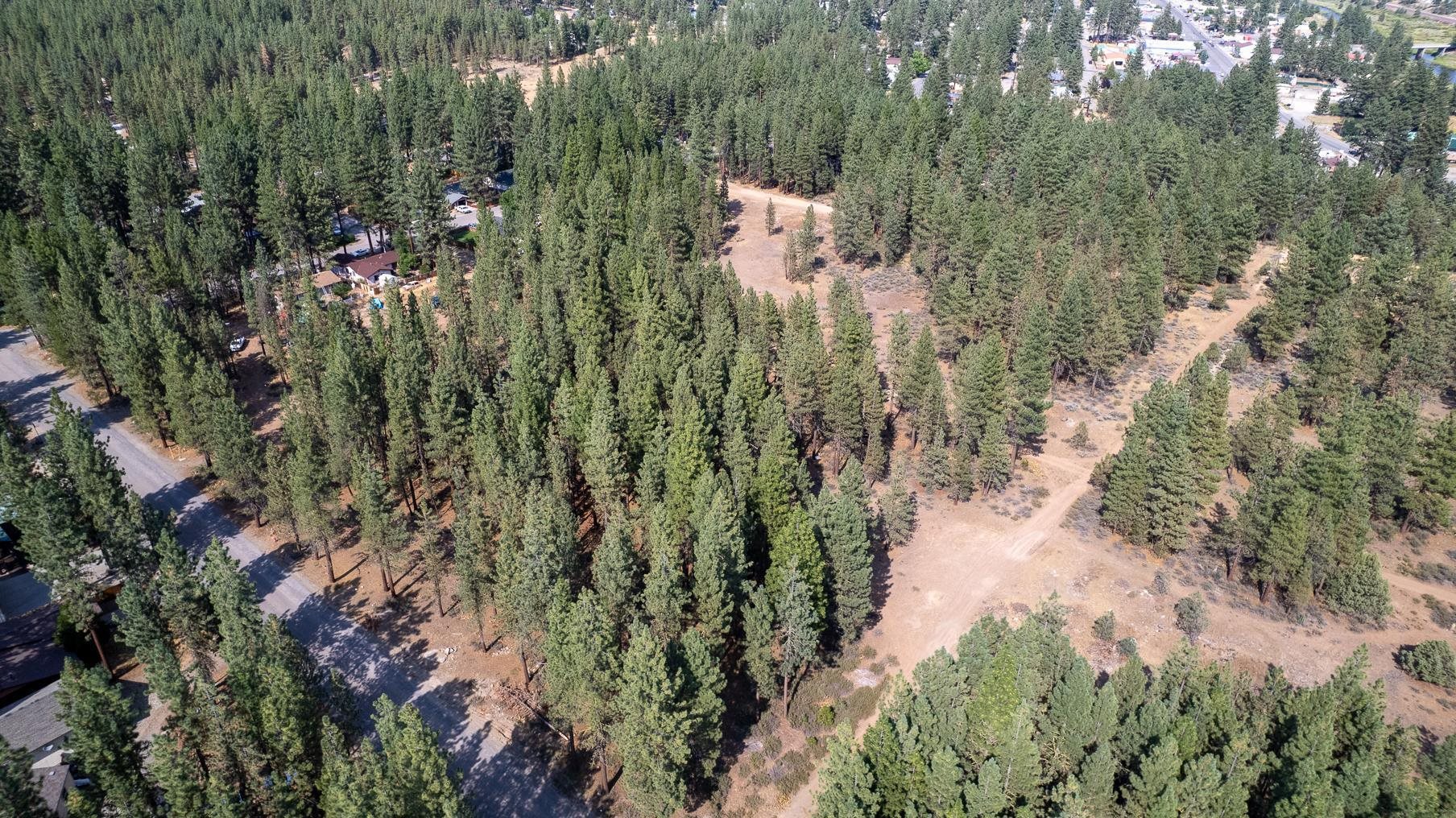 247 Bear Way, Portola, California image 5