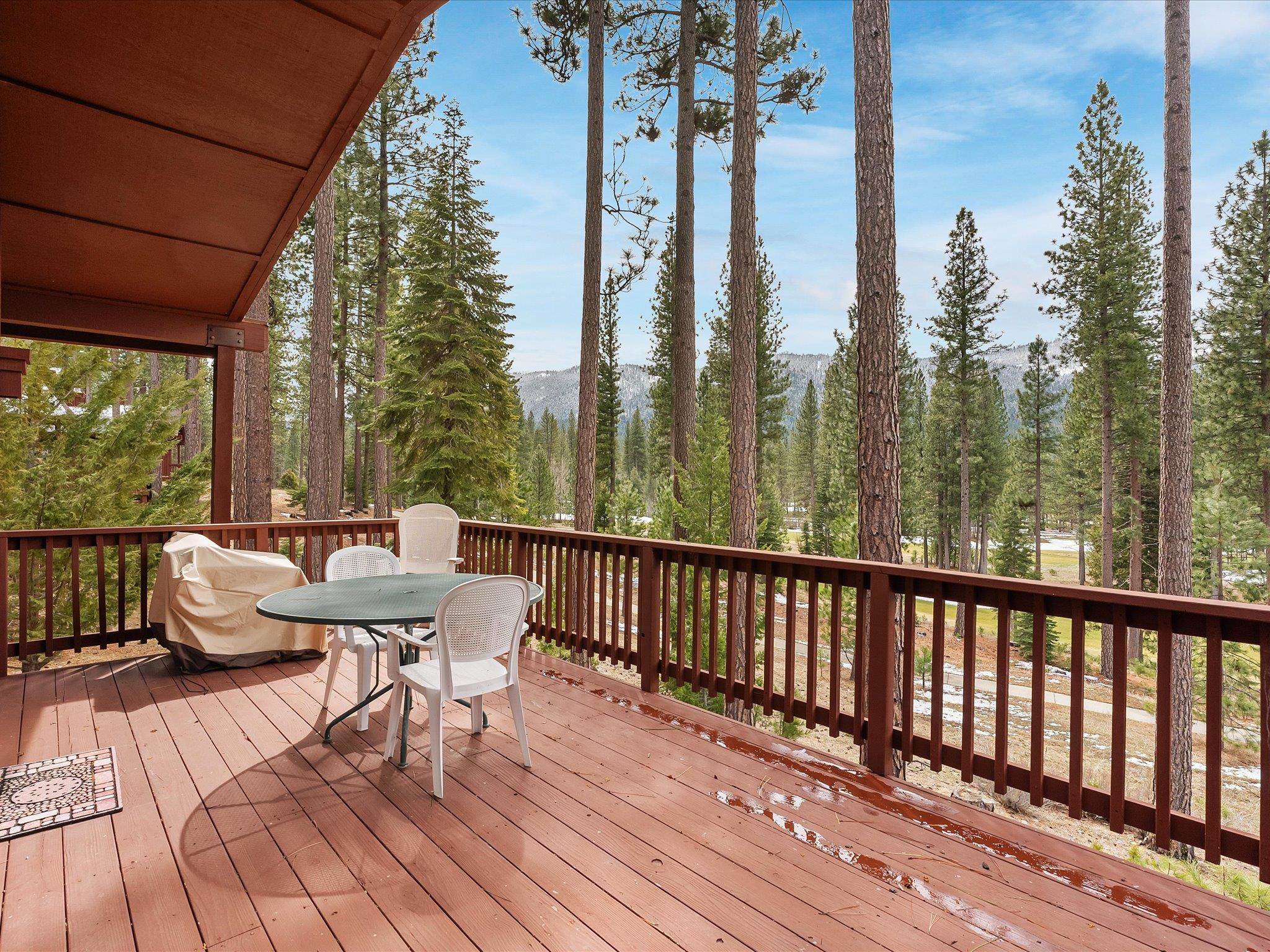 103 Deer Creek Crossing, Clio, California image 29