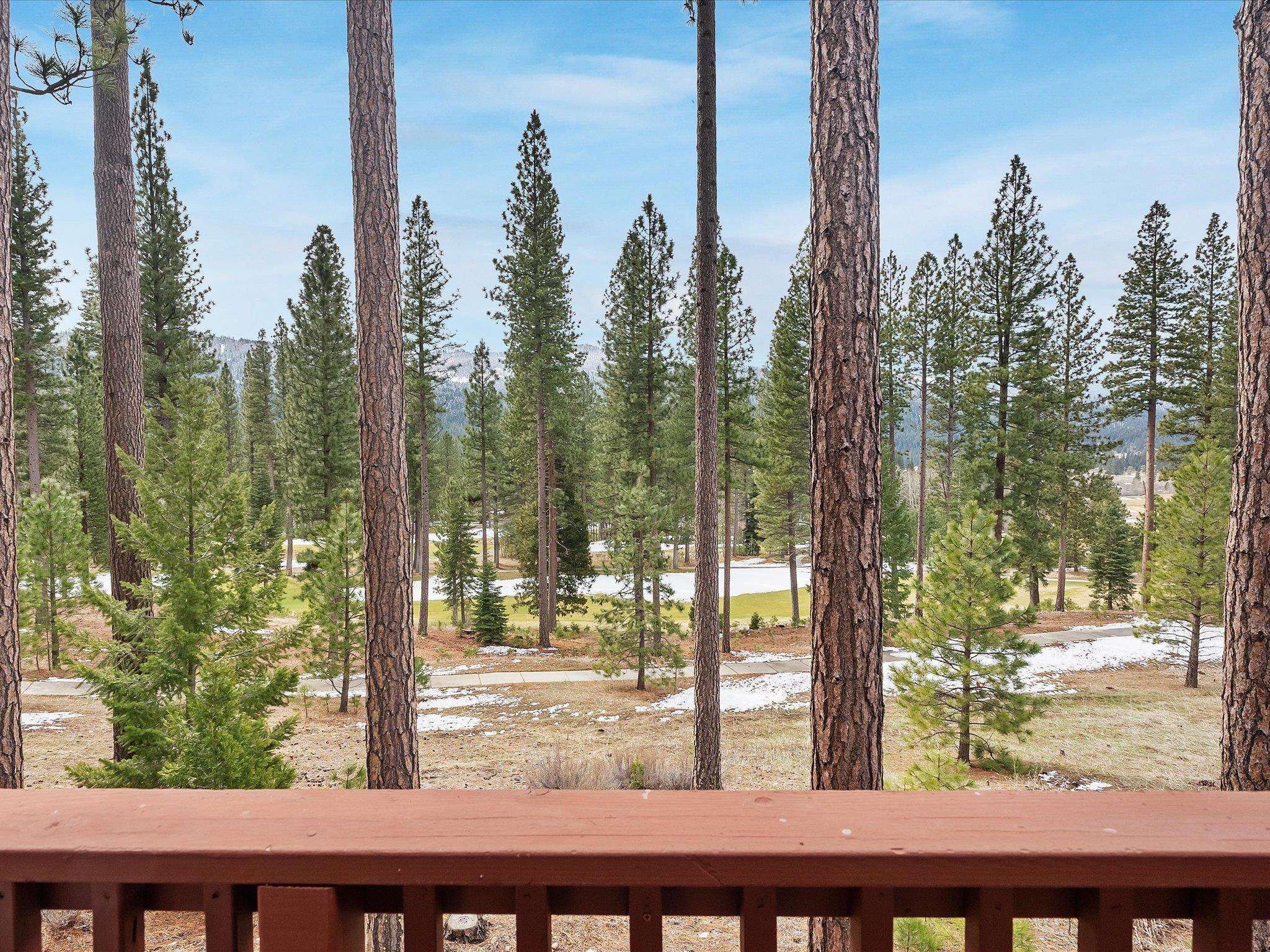 103 Deer Creek Crossing, Clio, California image 31