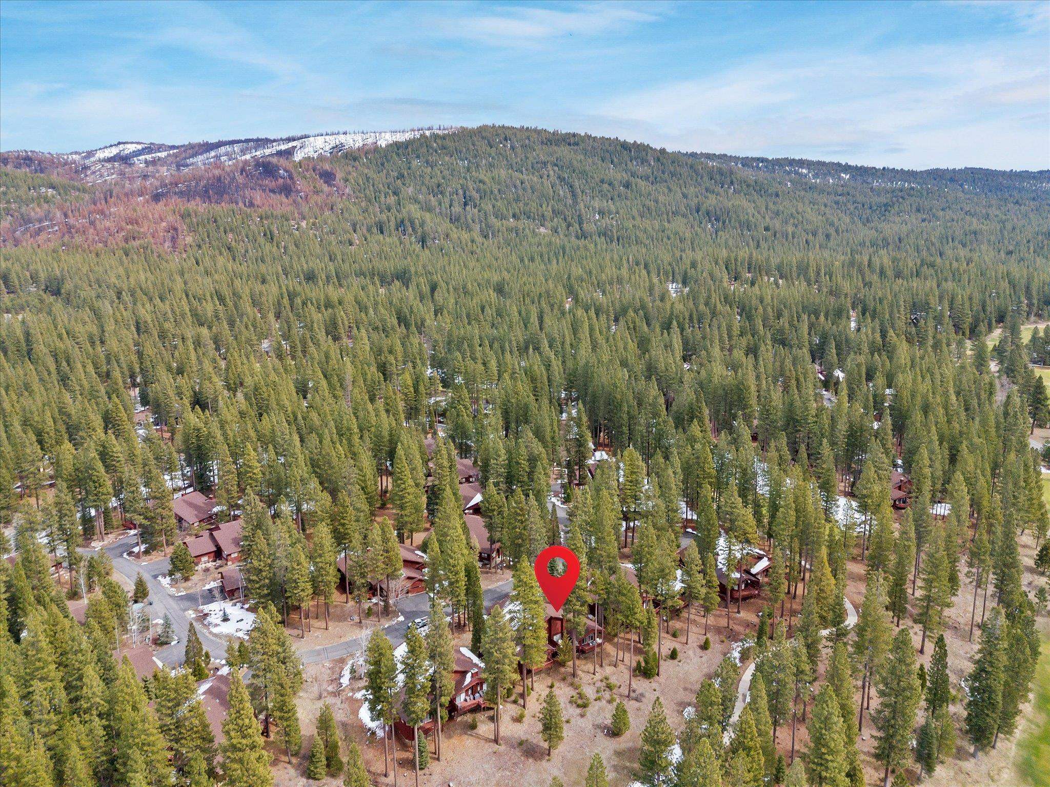 103 Deer Creek Crossing, Clio, California image 44