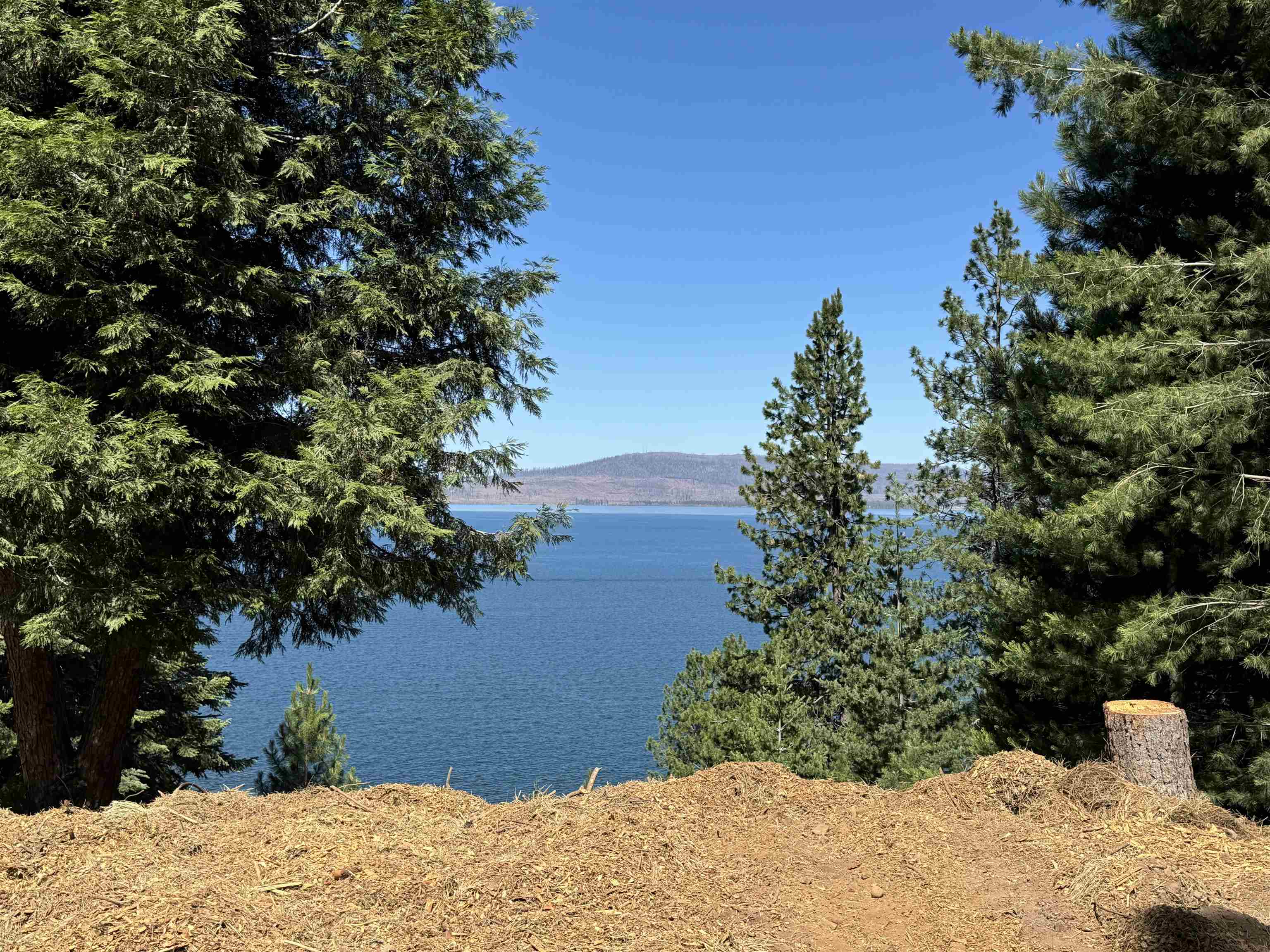 821 Lassen View Drive, Lake Almanor, California image 3