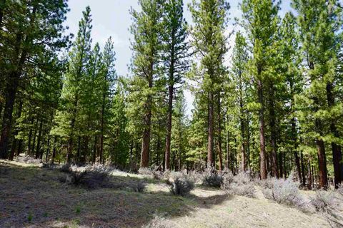 Vacant Land For Sale - 77 Cody Drive<br/> Clio, CA 96106