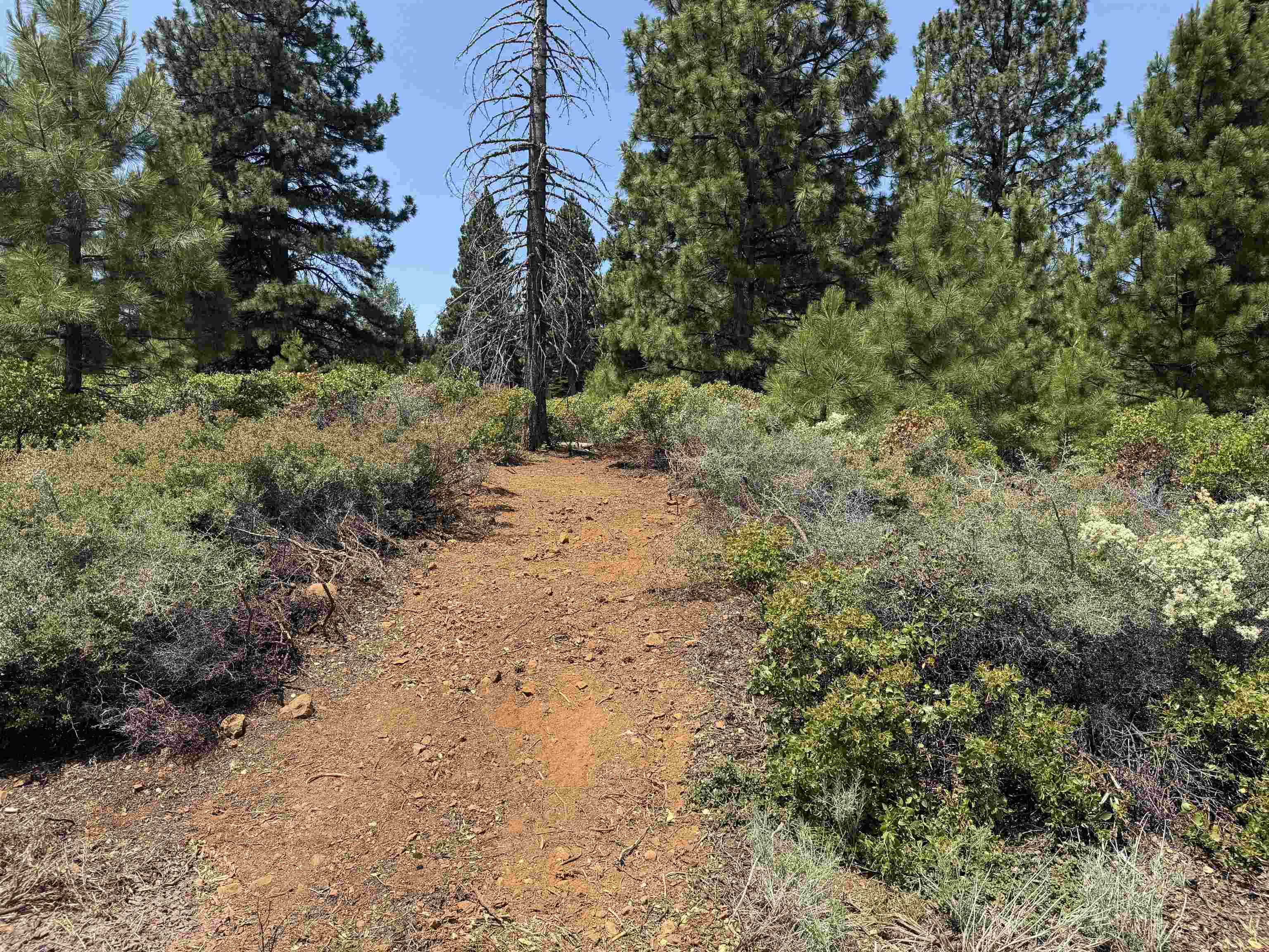 Lake Almanor, California 96137, United States, ,Land,Active,156969