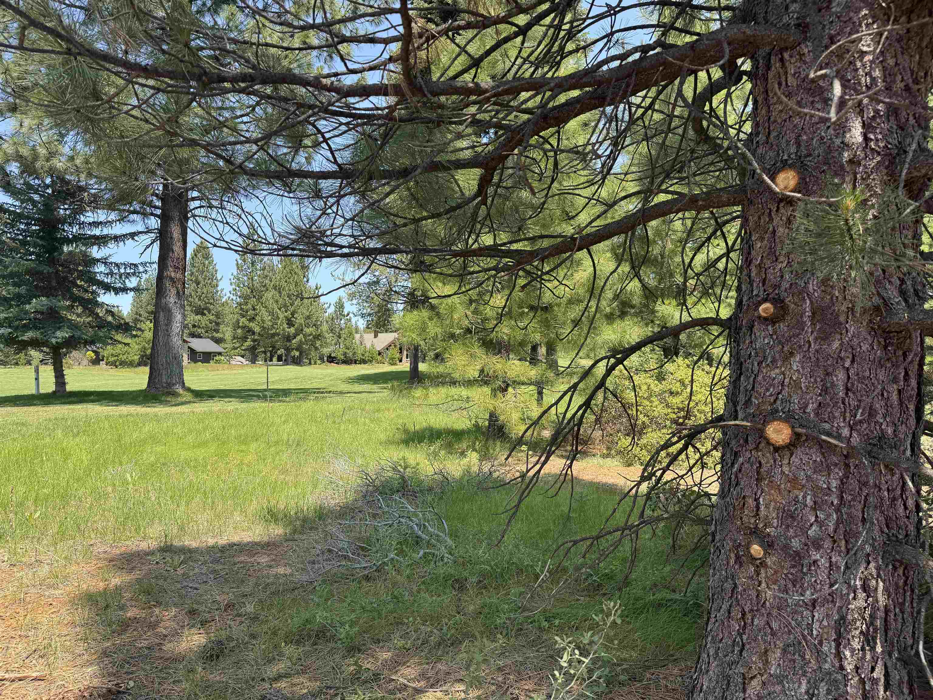 Lake Almanor, California 96137, United States, ,Land,Active,156969