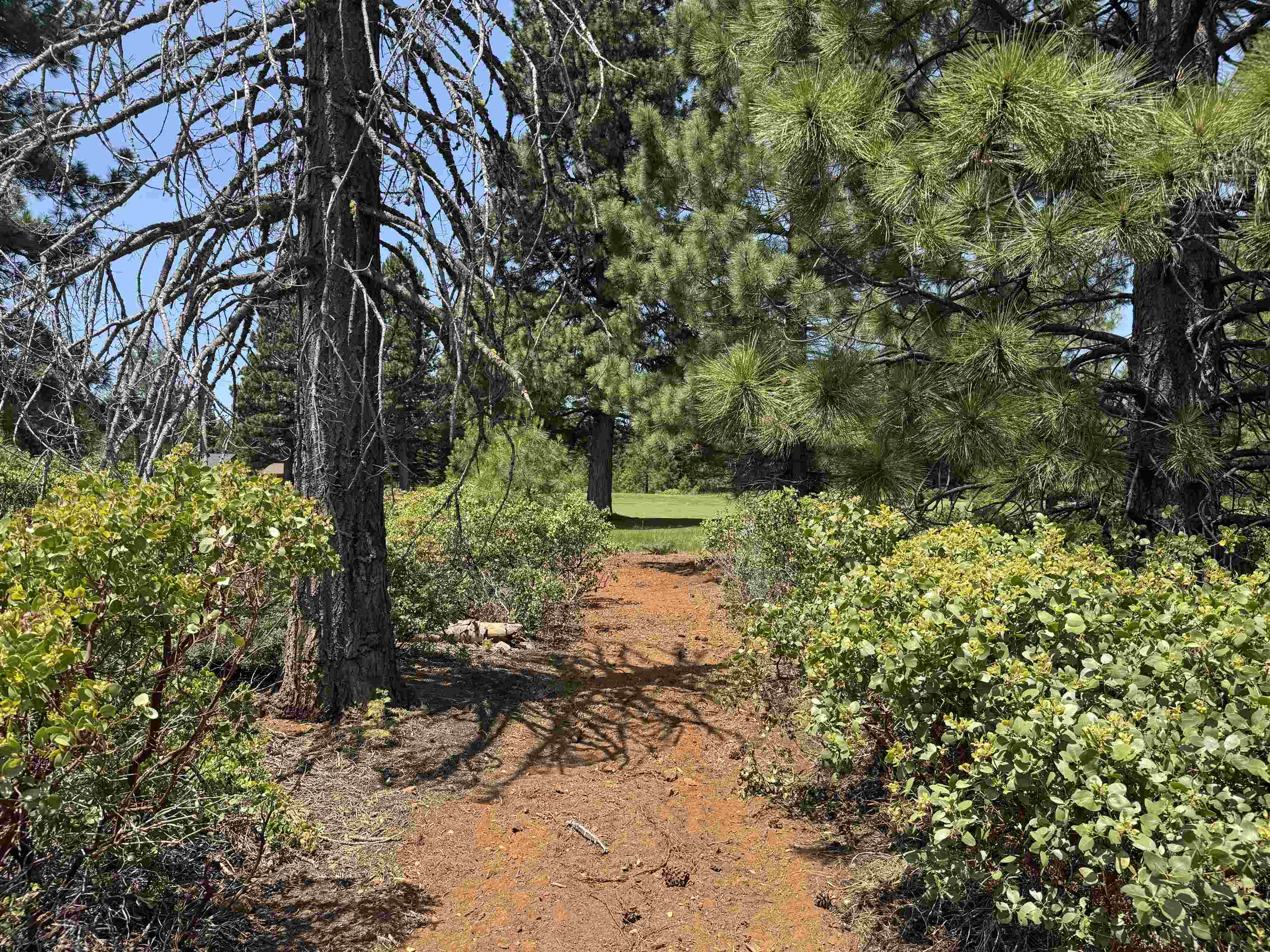 Lake Almanor, California 96137, United States, ,Land,Active,156969