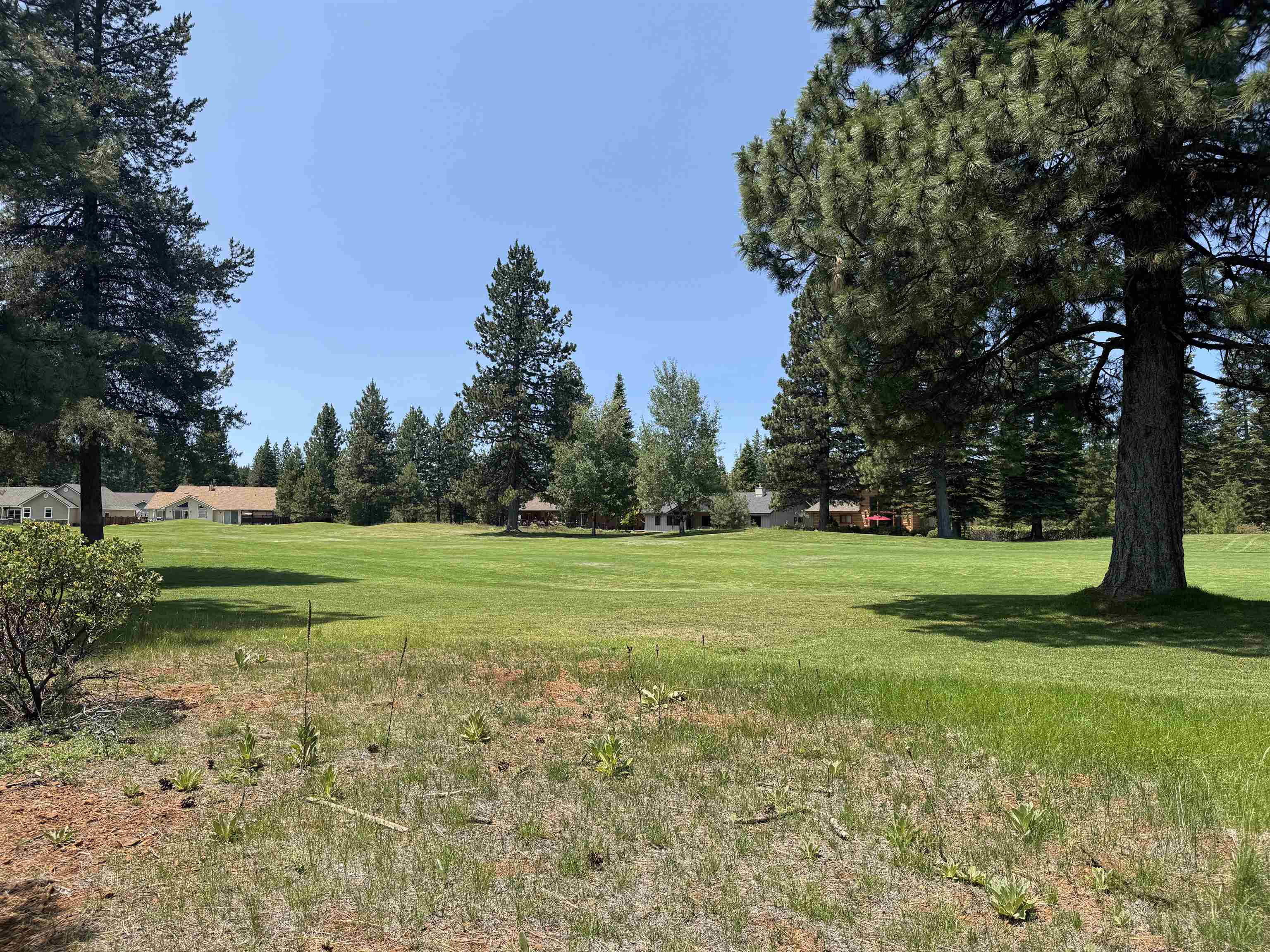 Lake Almanor, California 96137, United States, ,Land,Active,156969 Lake Almanor, California 96137, United States, ,Land,Active,156969