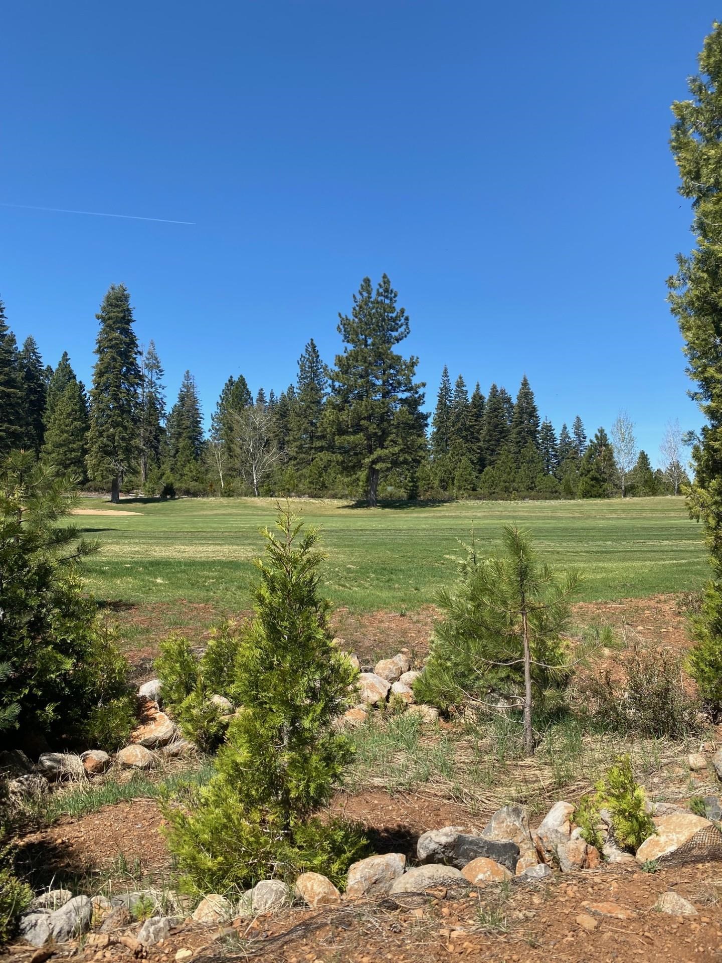 65 Vista Drive, Lake Almanor, New Mexico image 2