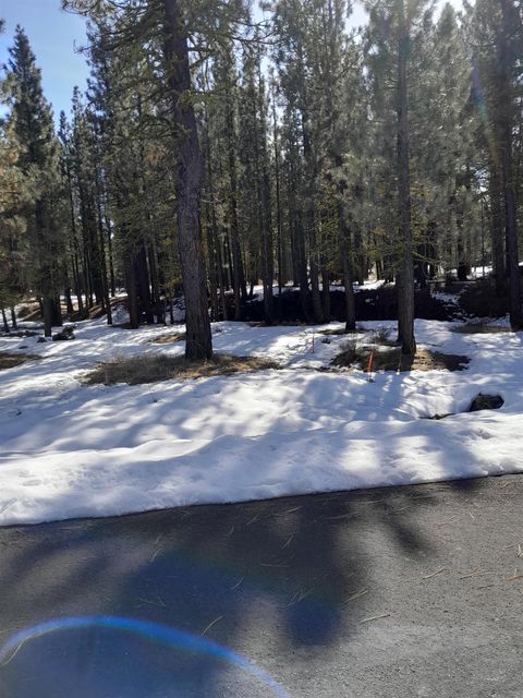 Vacant Land For Sale - 295 Deer Trail #1 P2<br/> Plumas County, Portola, CA 96122