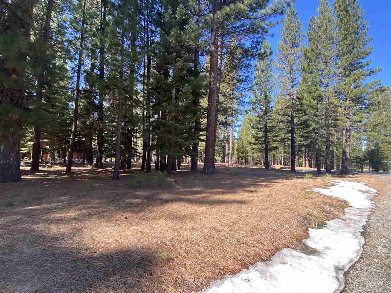 738 Miners Passage, Clio, New Mexico image 3