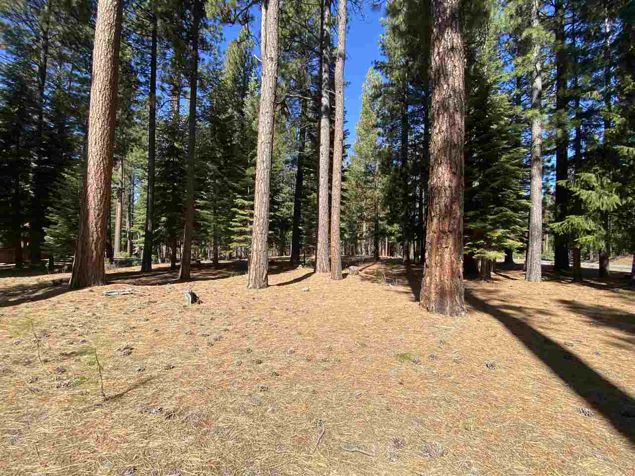 738 Miners Passage, Clio, New Mexico image 2