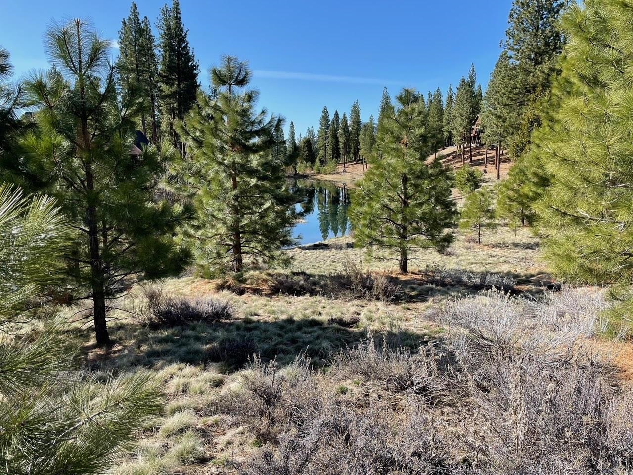 328 W Blacktail Ridge, Portola, California image 1