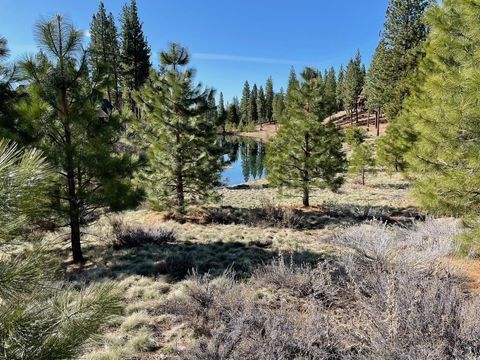 Vacant Land For Sale - 328 Blacktail Ridge<br/> Plumas County, Portola, CA 96122